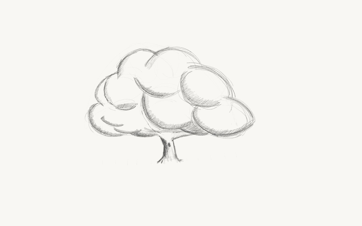Sketching a tree - image 2 - student project