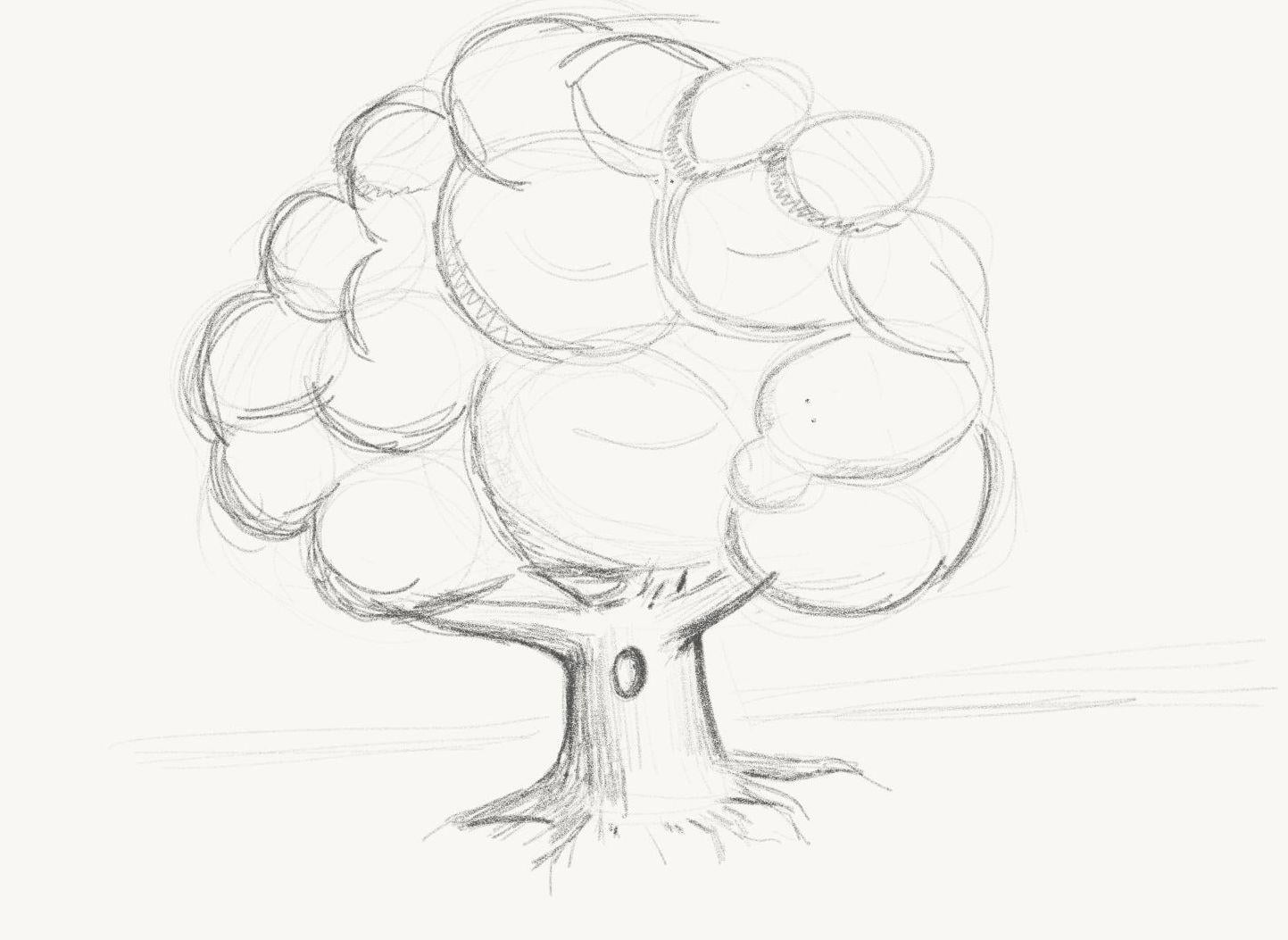 Sketching a tree - image 1 - student project