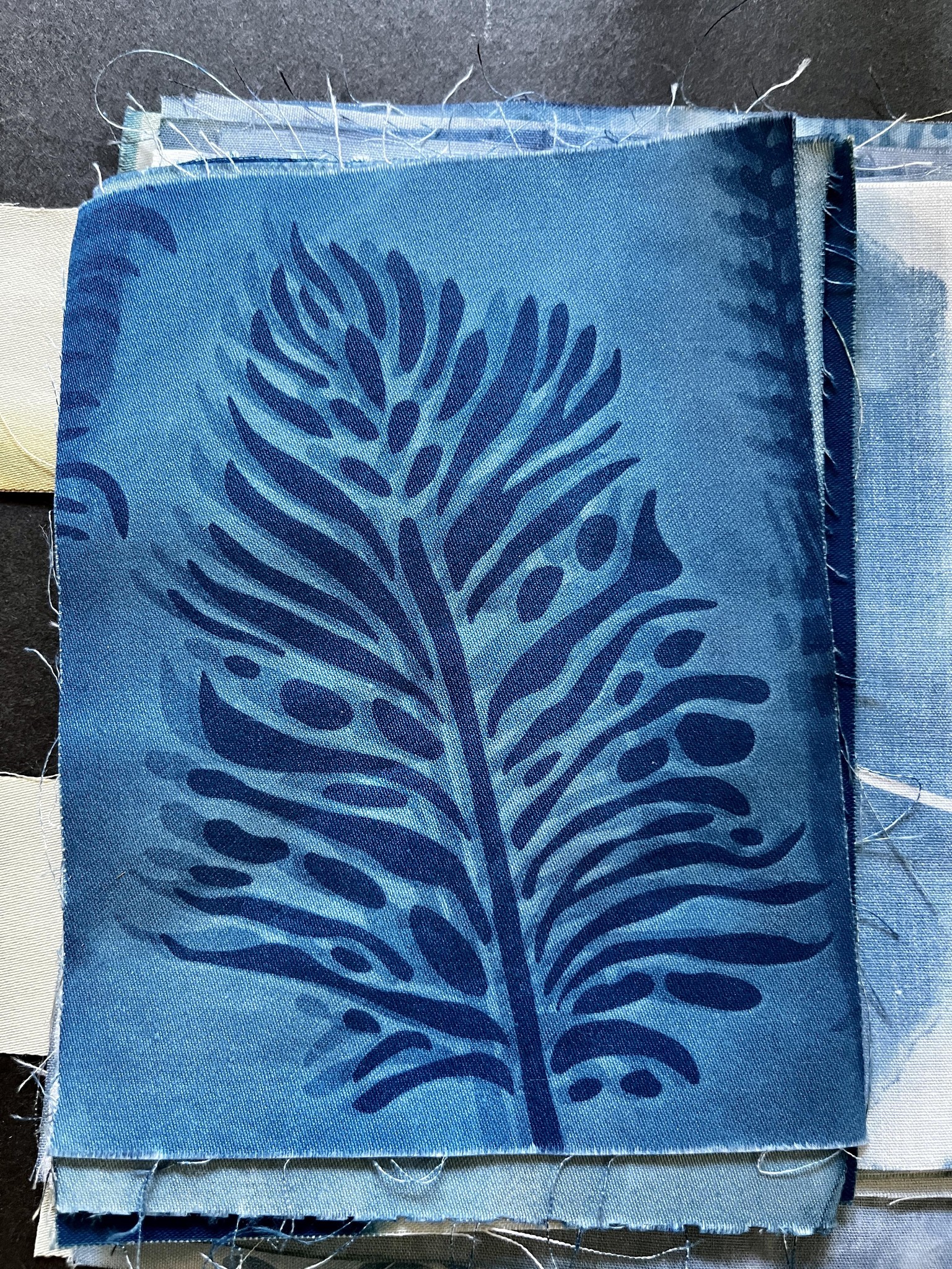 cyanotype - image 3 - student project