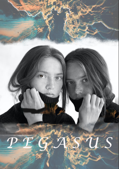 Pegasus Ad - image 1 - student project