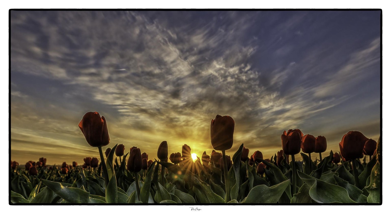Nature Photography - image 2 - student project