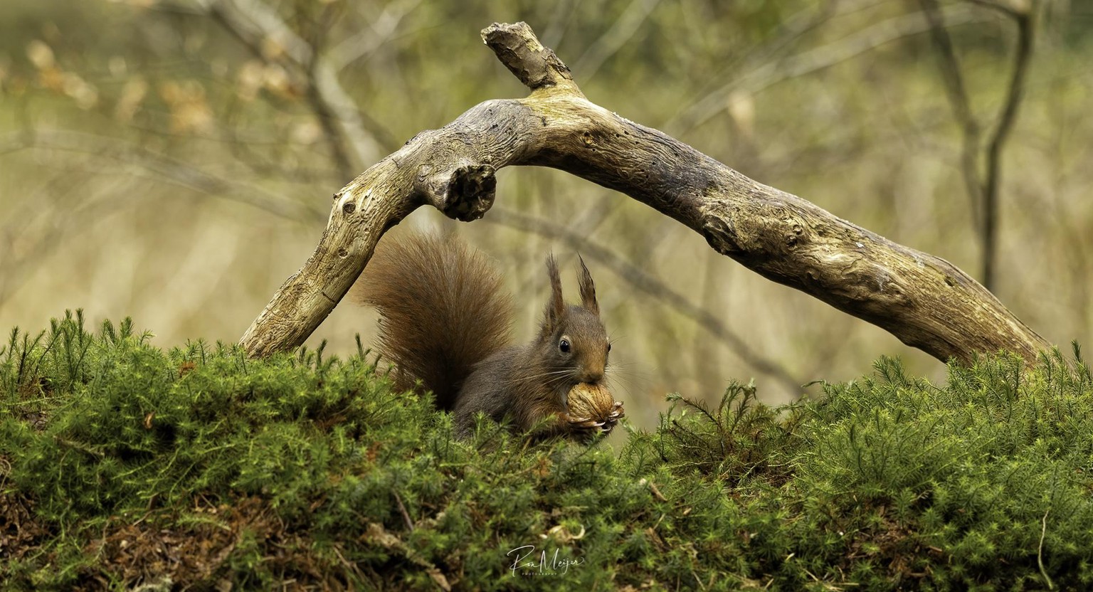 Nature Photography - image 3 - student project