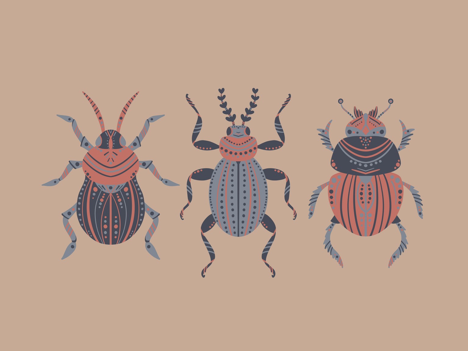 The Beetles - image 2 - student project