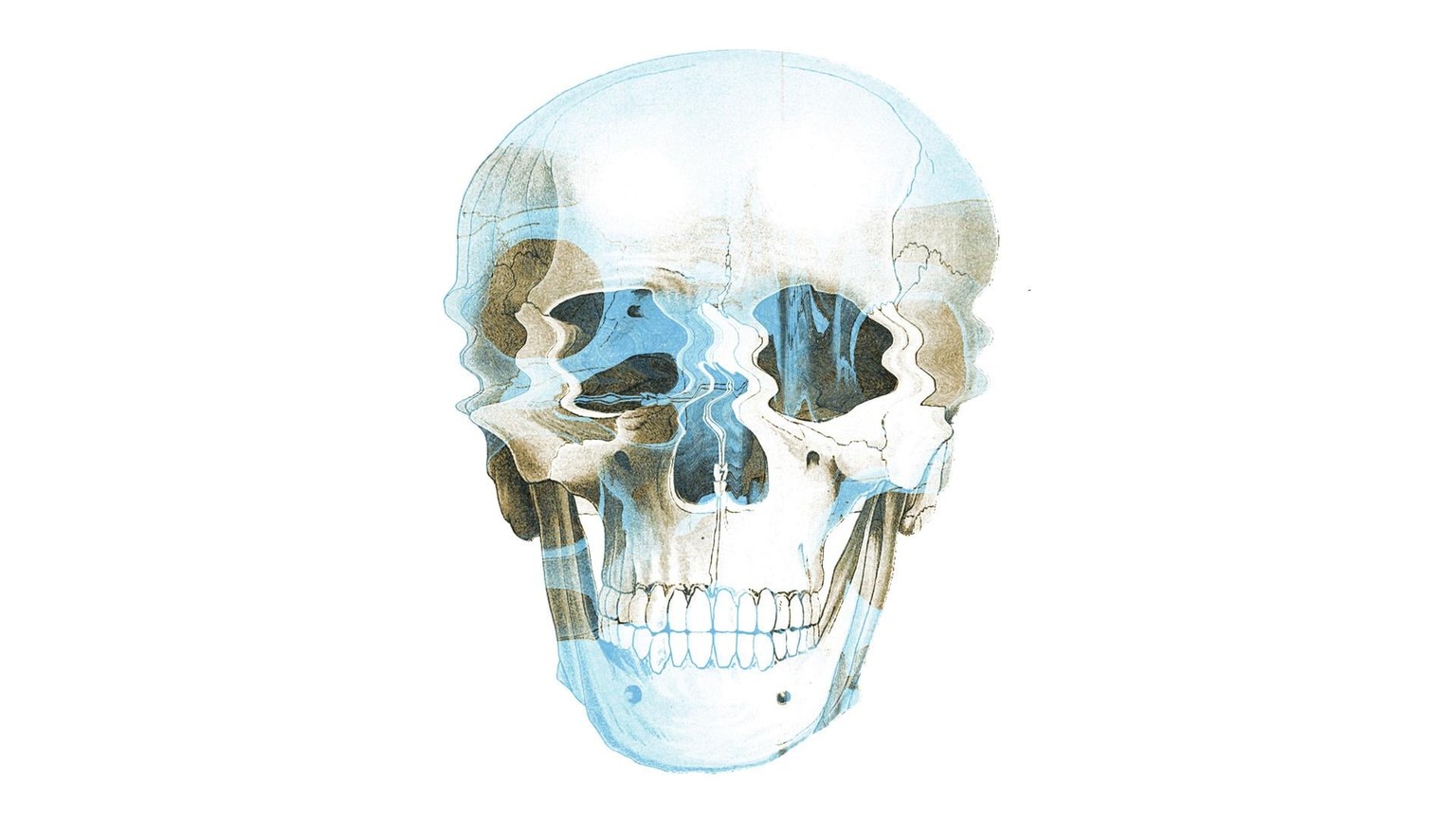 Son of a Glitch! - image 5 - student project