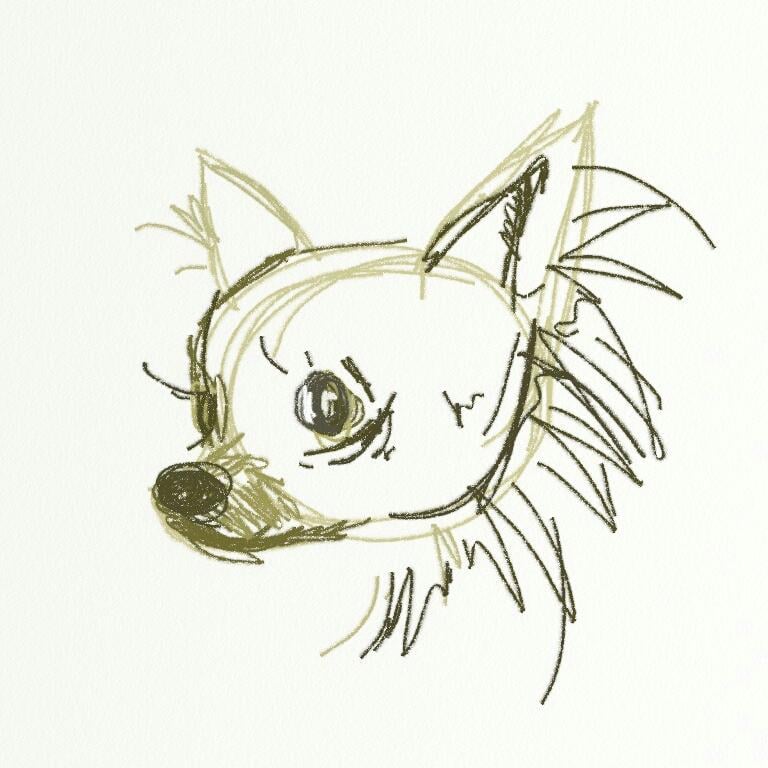 Kate's dog character project! - image 7 - student project