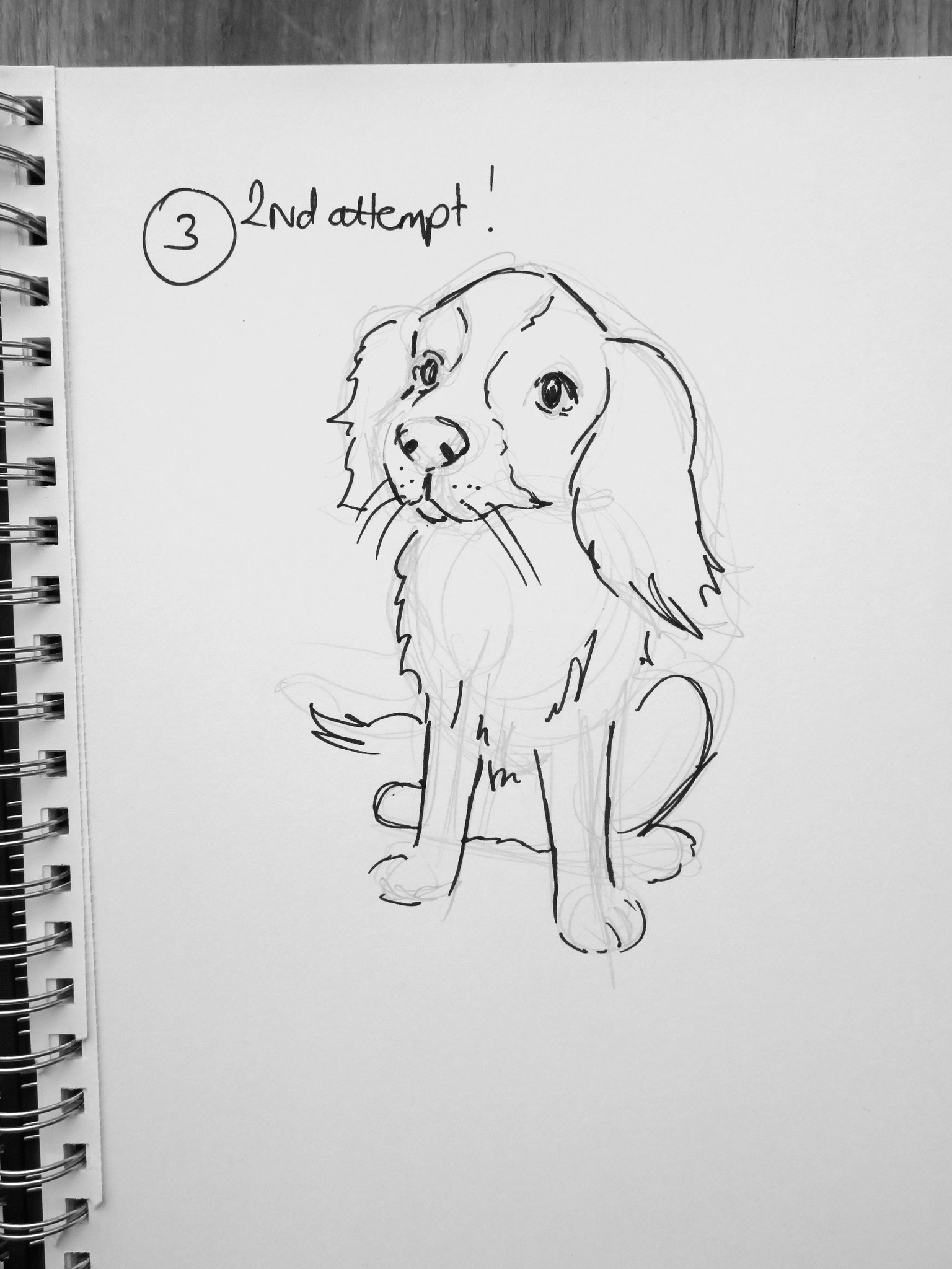 Kate's dog character project! - image 3 - student project