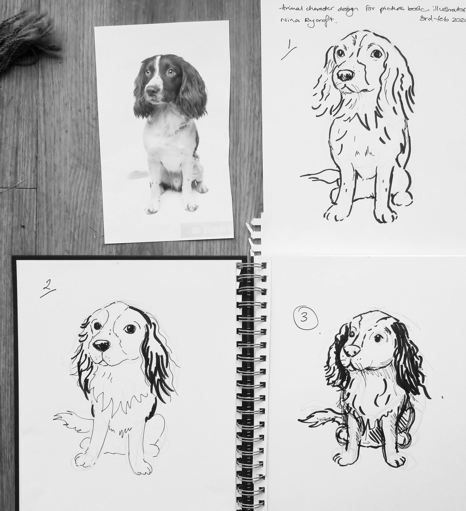 Kate's dog character project! - image 2 - student project