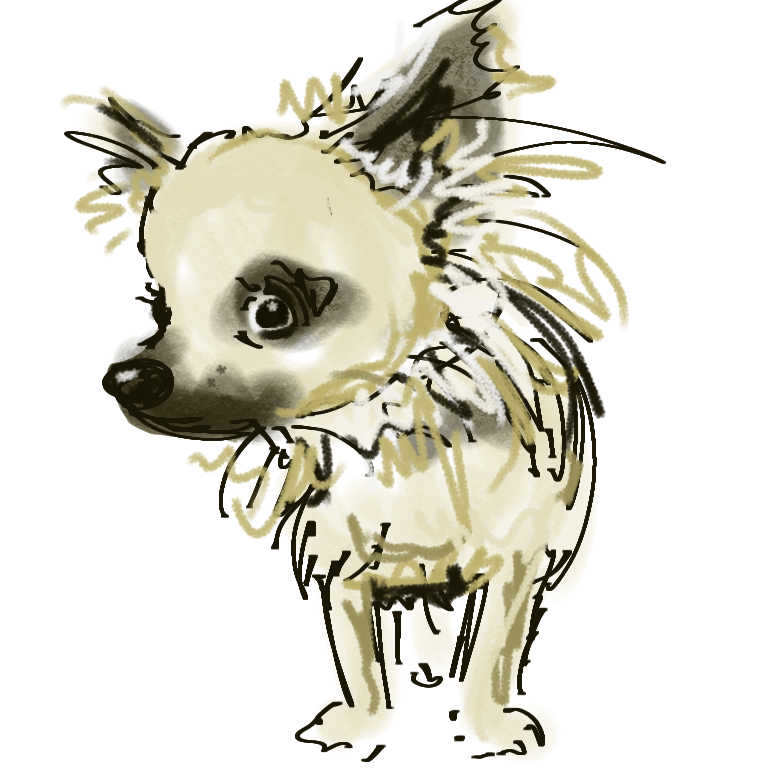 Kate's dog character project! - image 10 - student project
