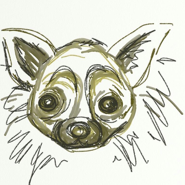 Kate's dog character project! - image 4 - student project