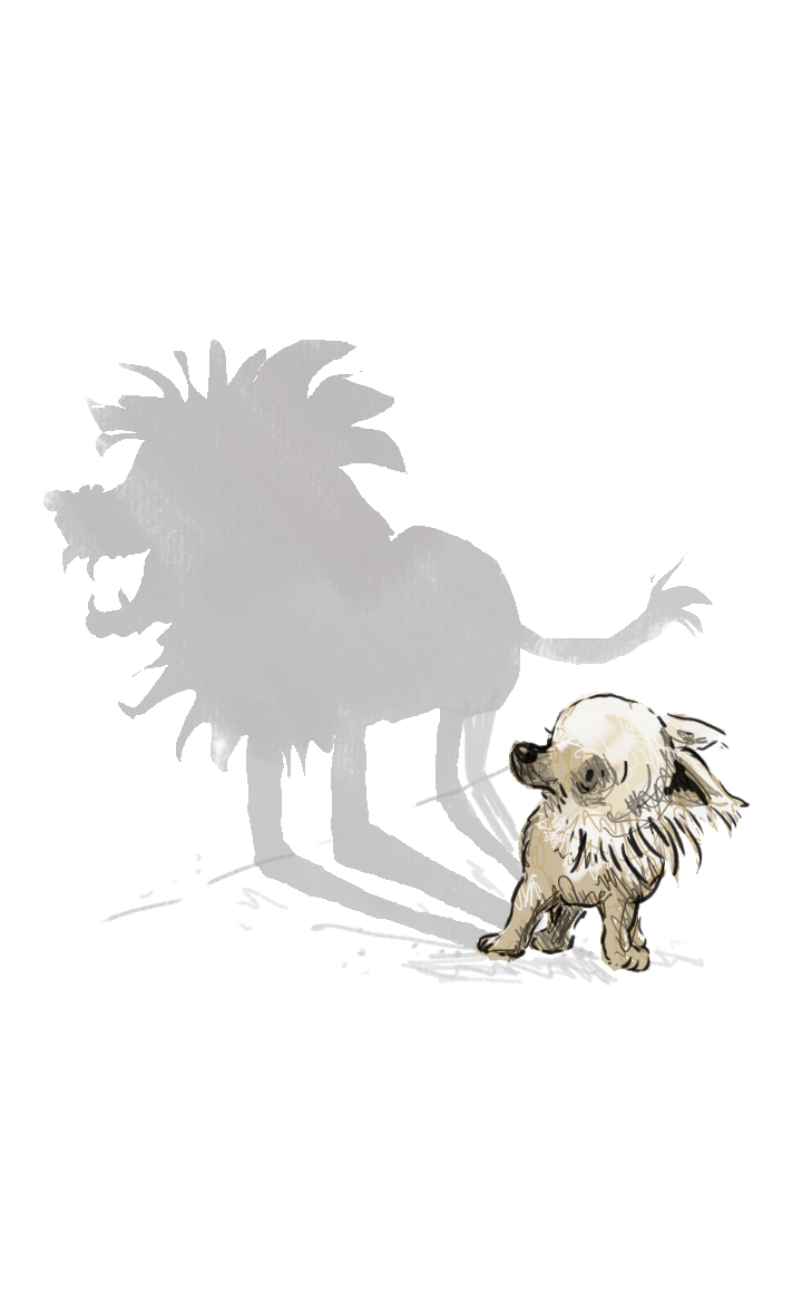 Kate's dog character project! - image 13 - student project