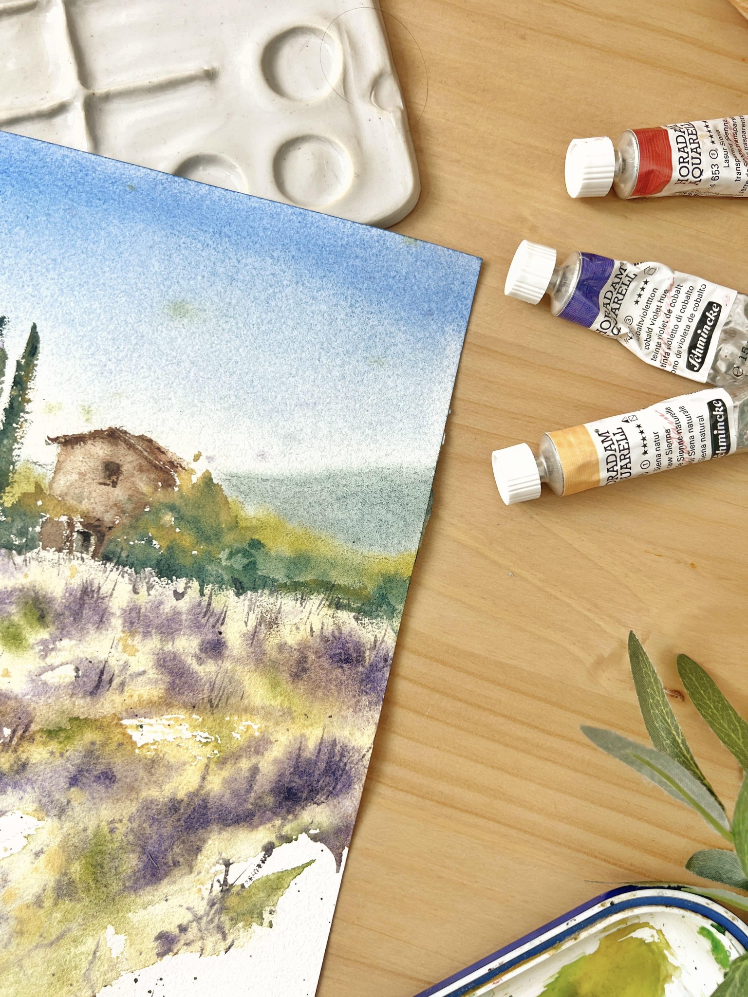 Lavender field - image 1 - student project