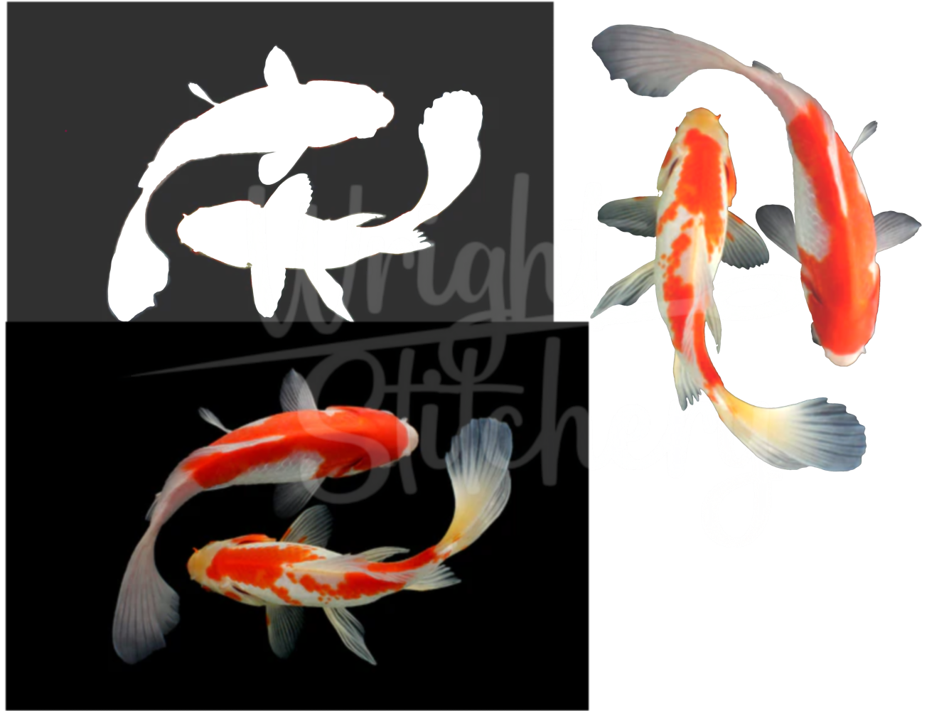 Removing Background - image 1 - student project