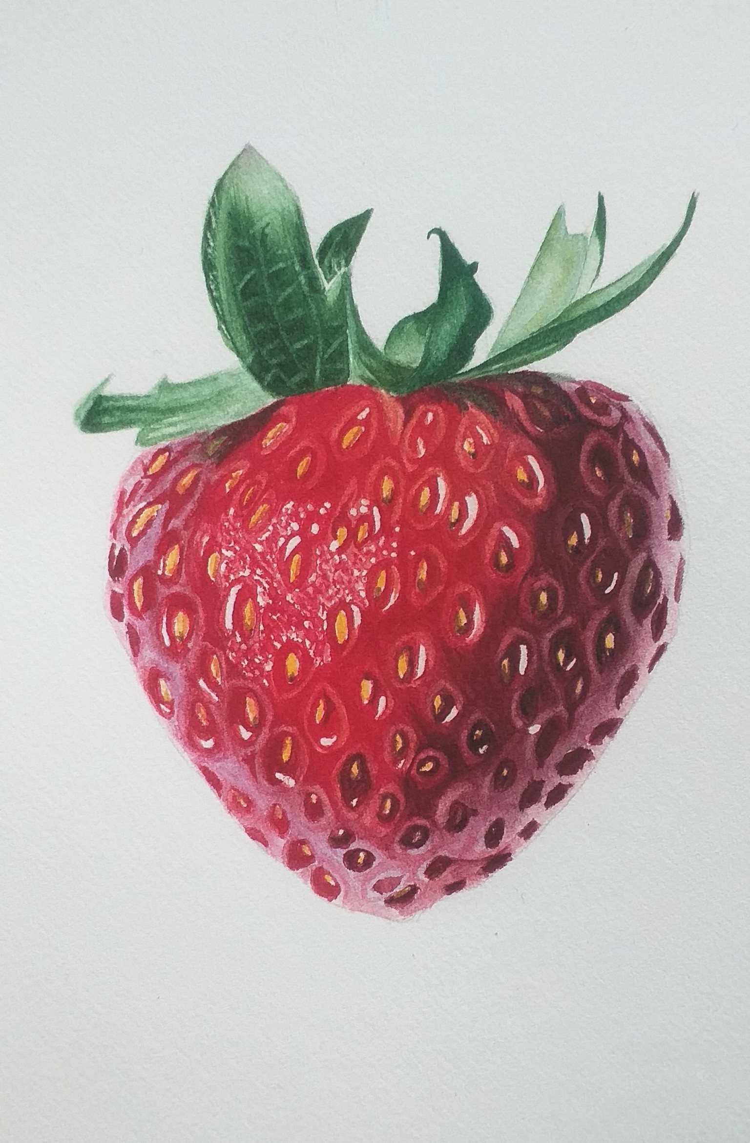 watercolor strawberry - image 1 - student project