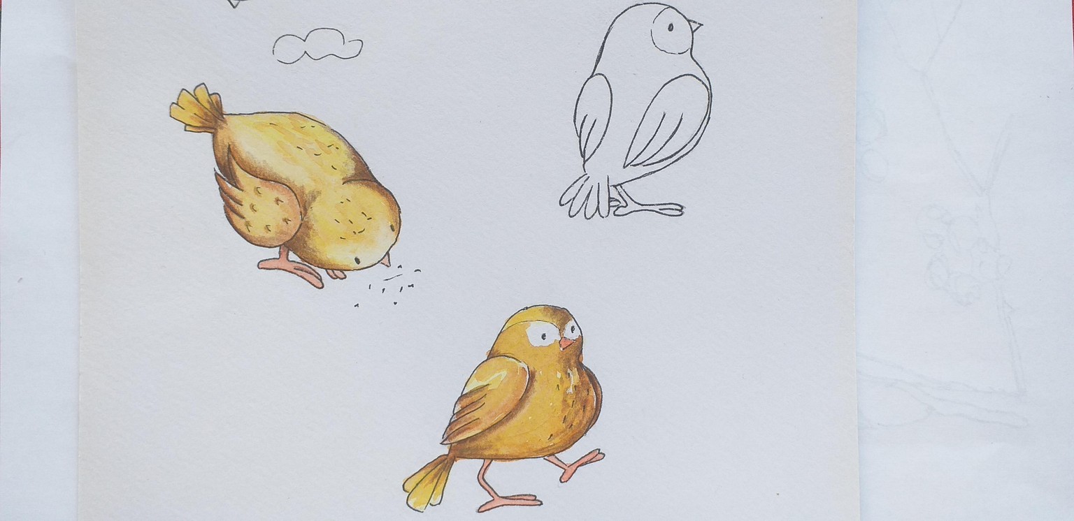 Cute bird - image 1 - student project