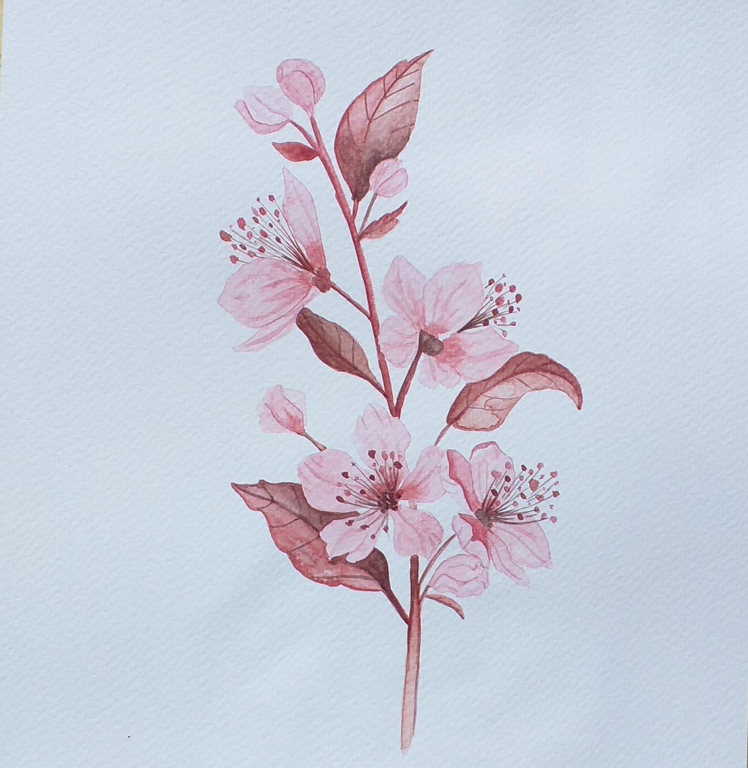 Spring blossom - image 1 - student project
