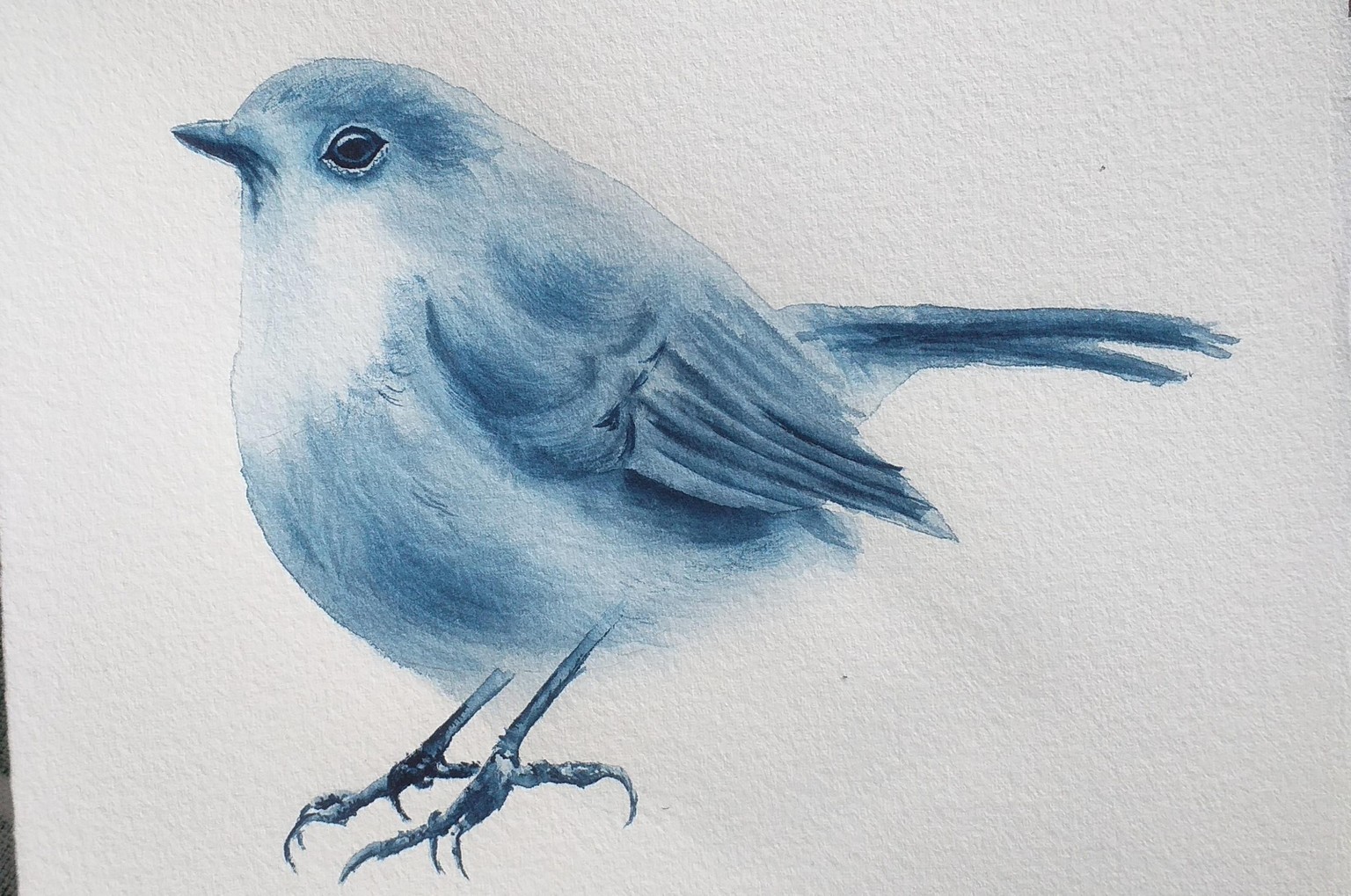 Painting birds in watercolor - image 1 - student project