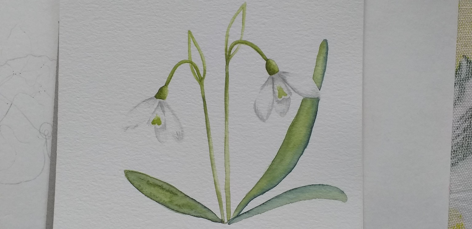 White flowers - image 1 - student project