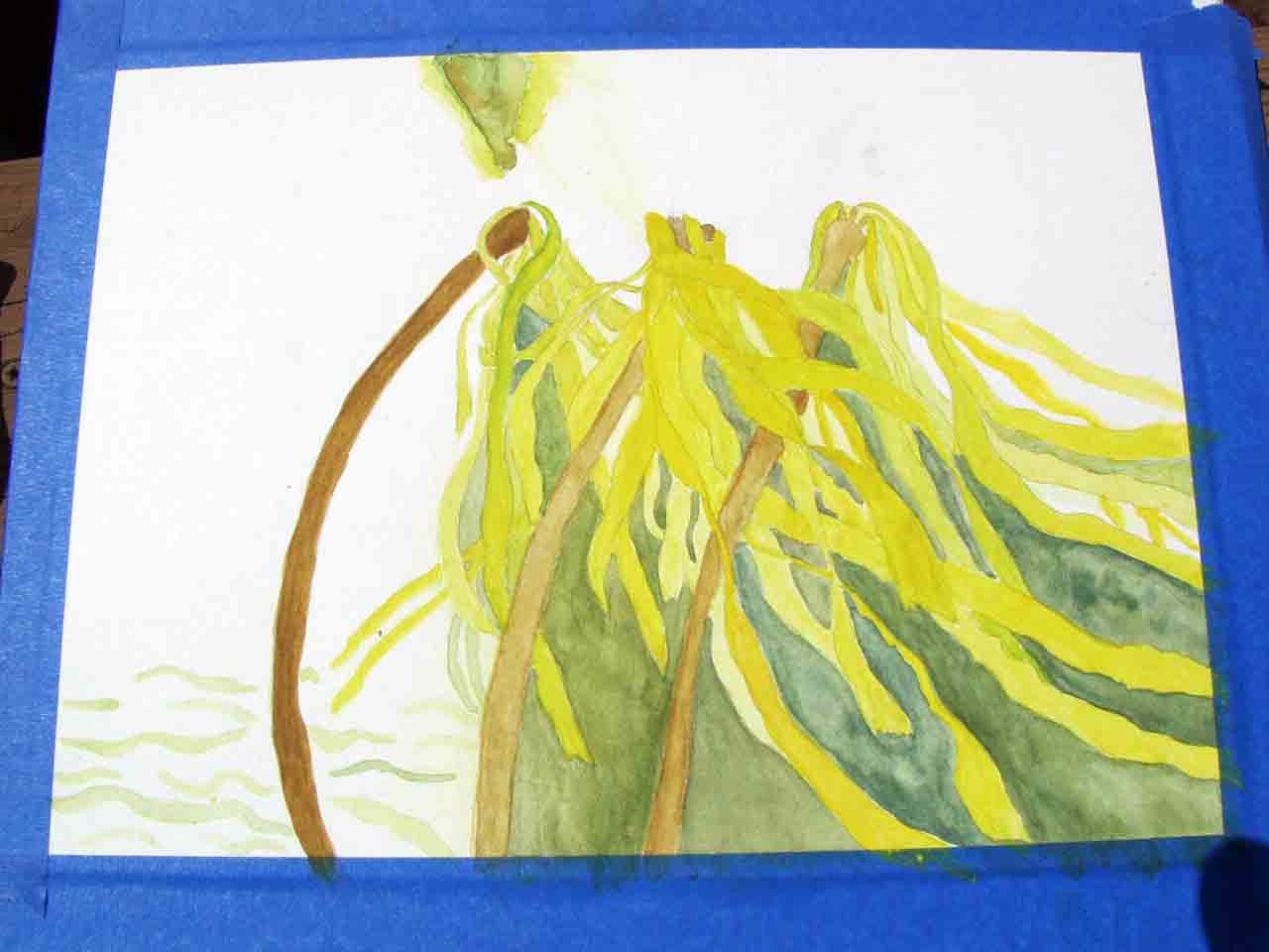 Slapoo in Sequim Bay - image 4 - student project