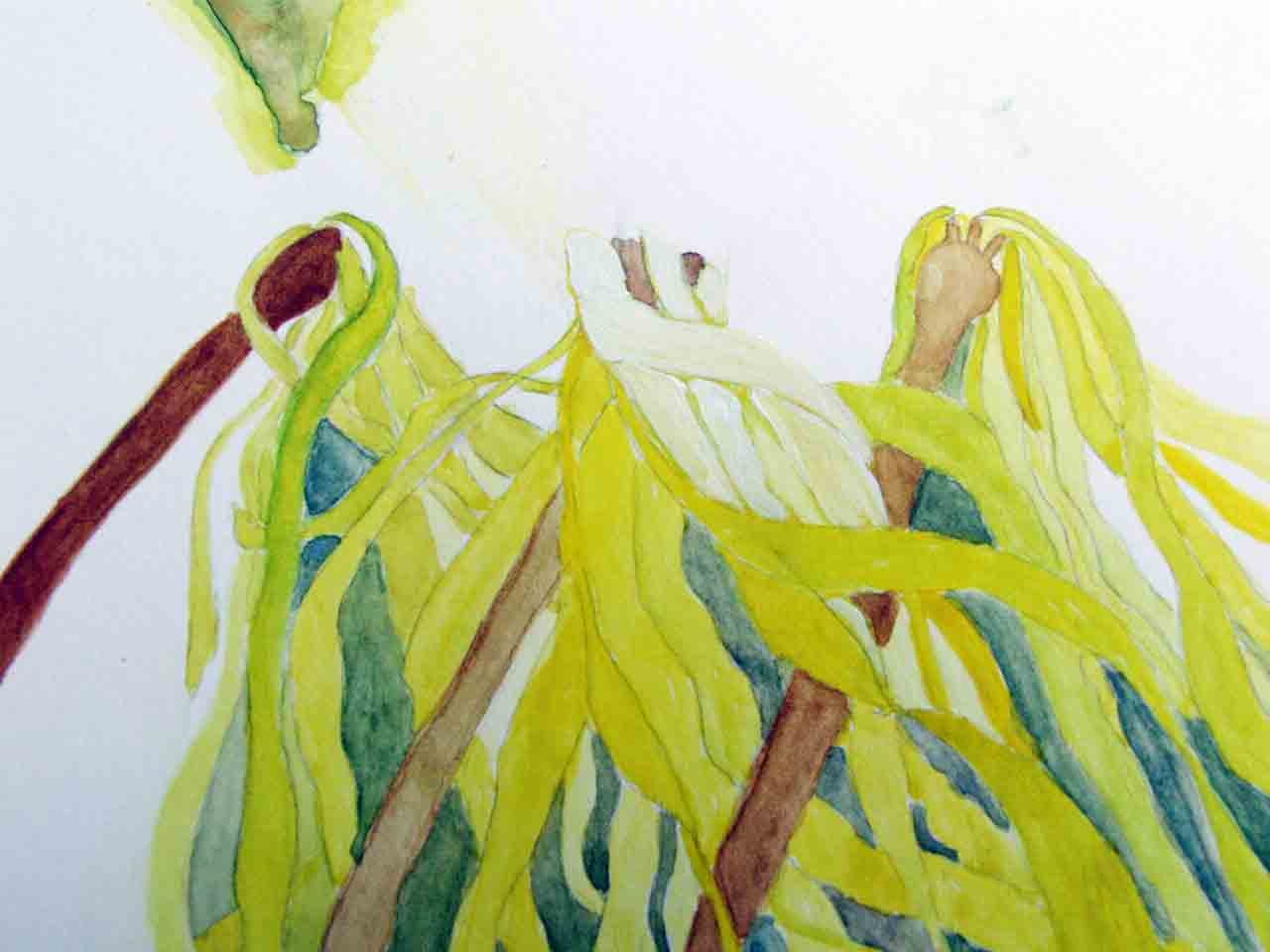 Slapoo in Sequim Bay - image 5 - student project