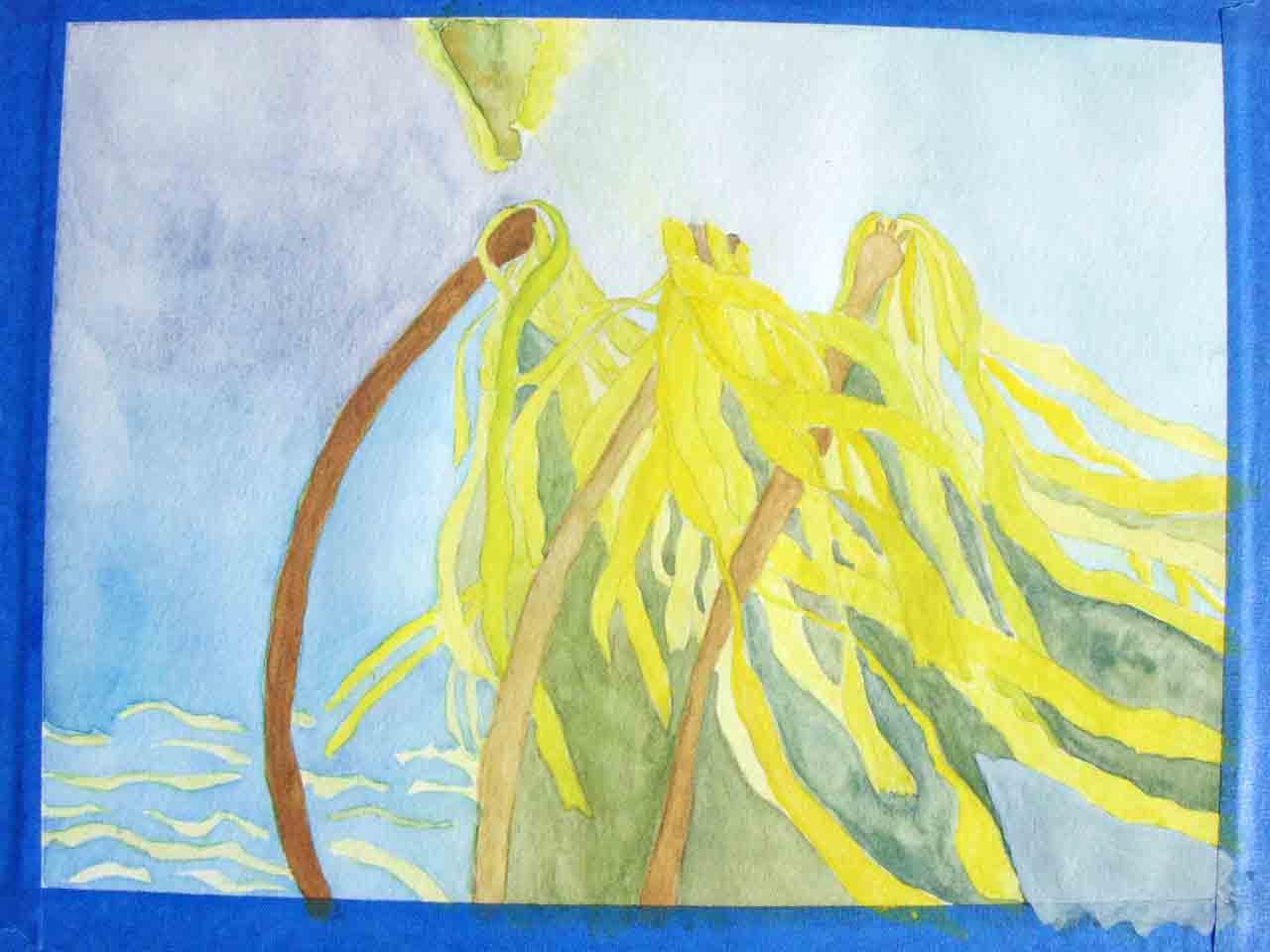 Slapoo in Sequim Bay - image 7 - student project
