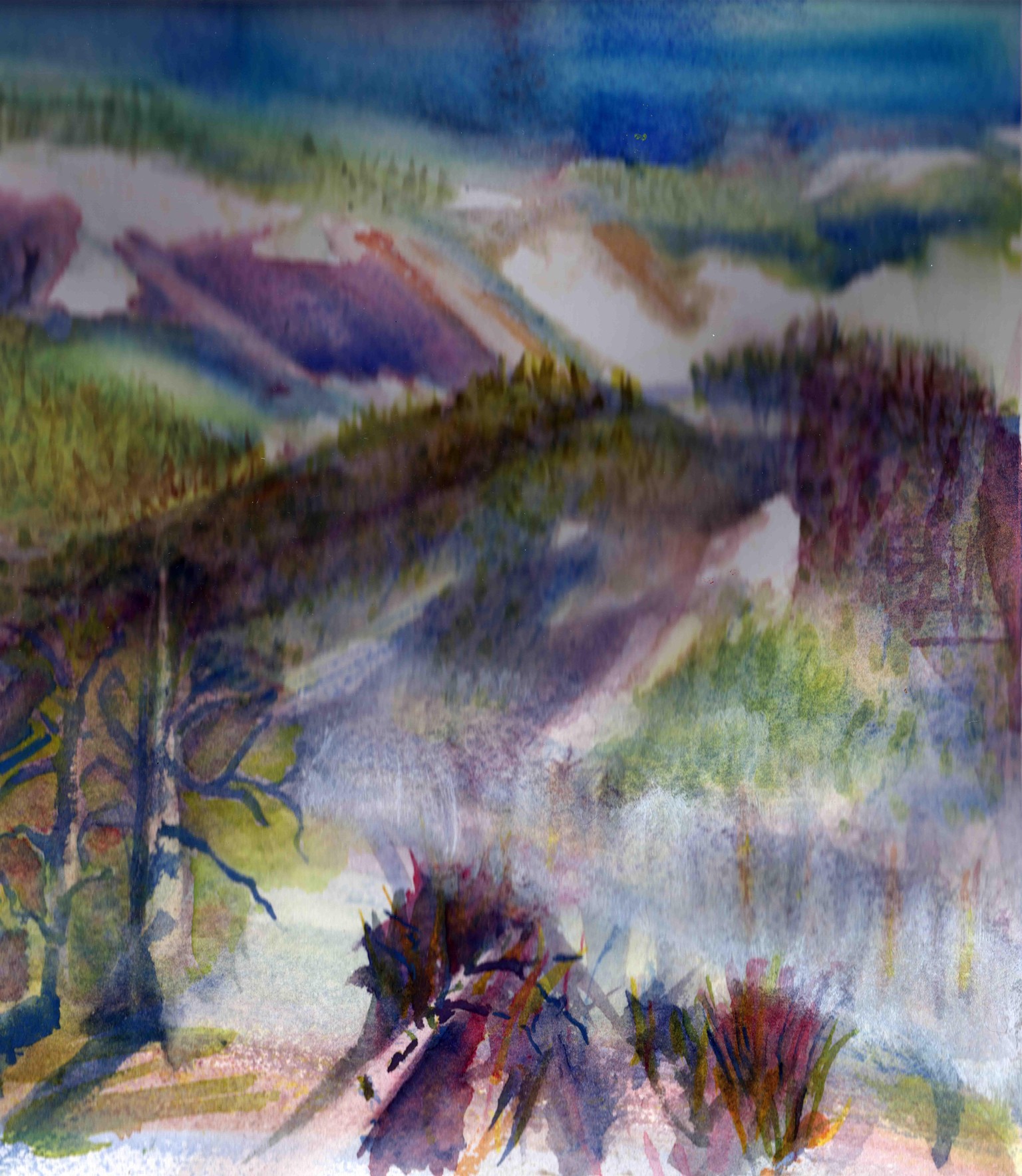 Slapoo in Sequim Bay - image 2 - student project