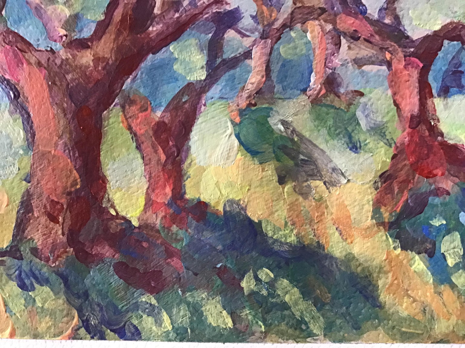 Olive Trees - image 2 - student project