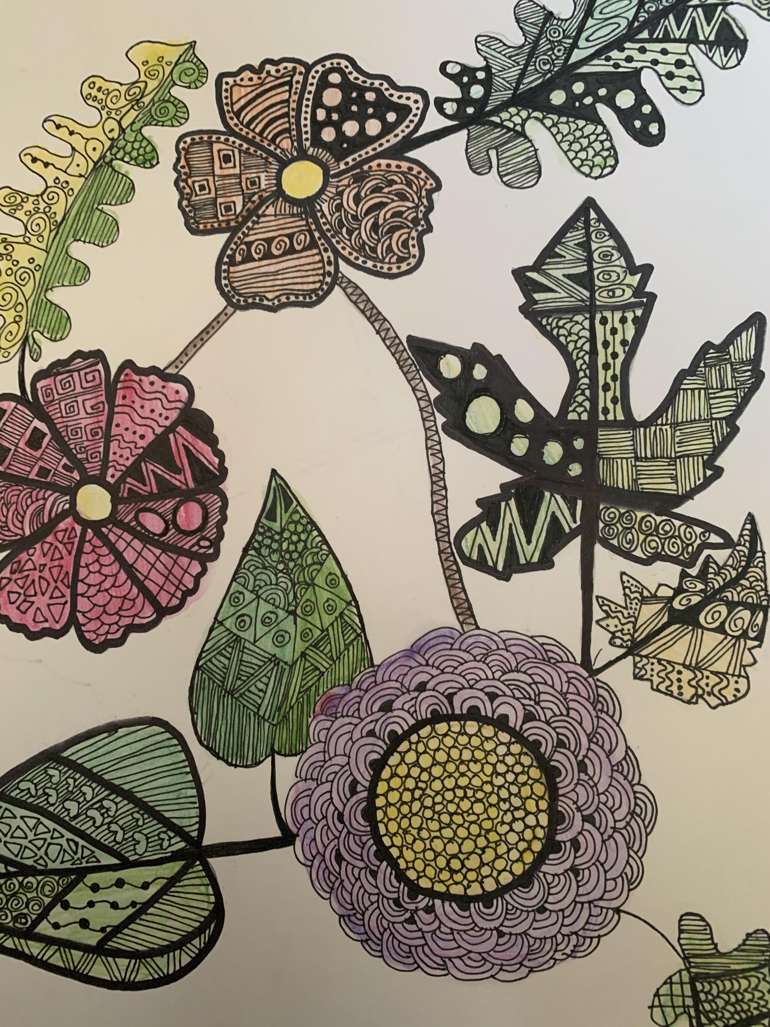 Zentangle Art - Hoomyrah Rambhia - image 1 - student project