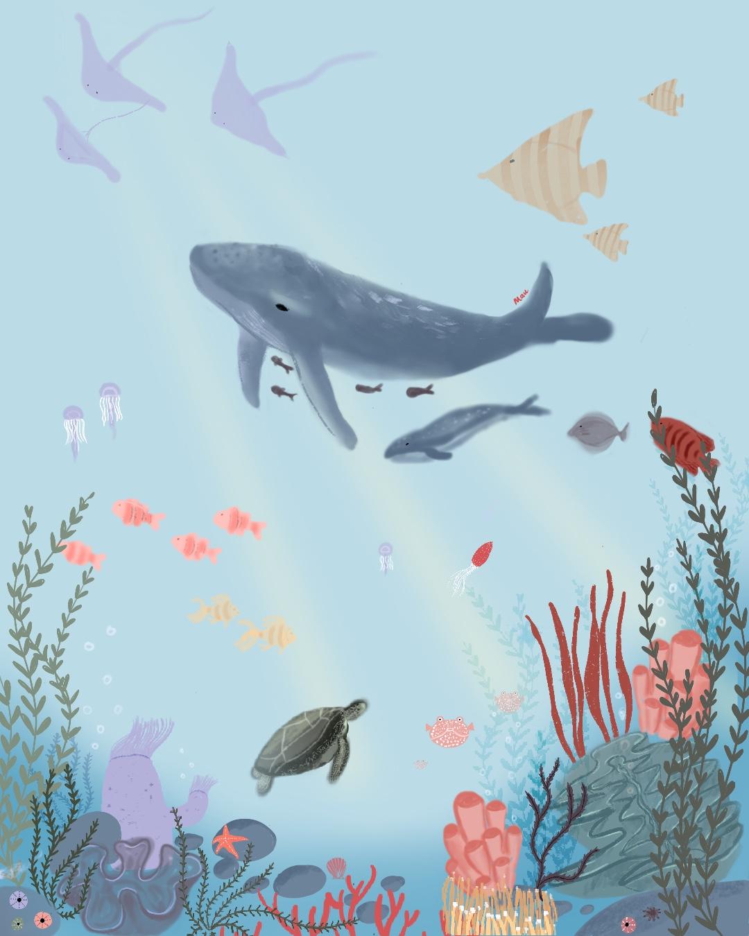 Under water life - image 1 - student project