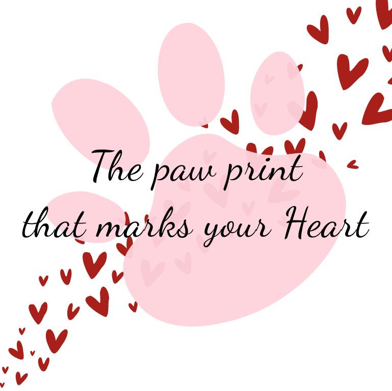 Cat+Love - image 2 - student project