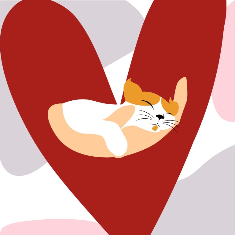 Cat+Love - image 1 - student project