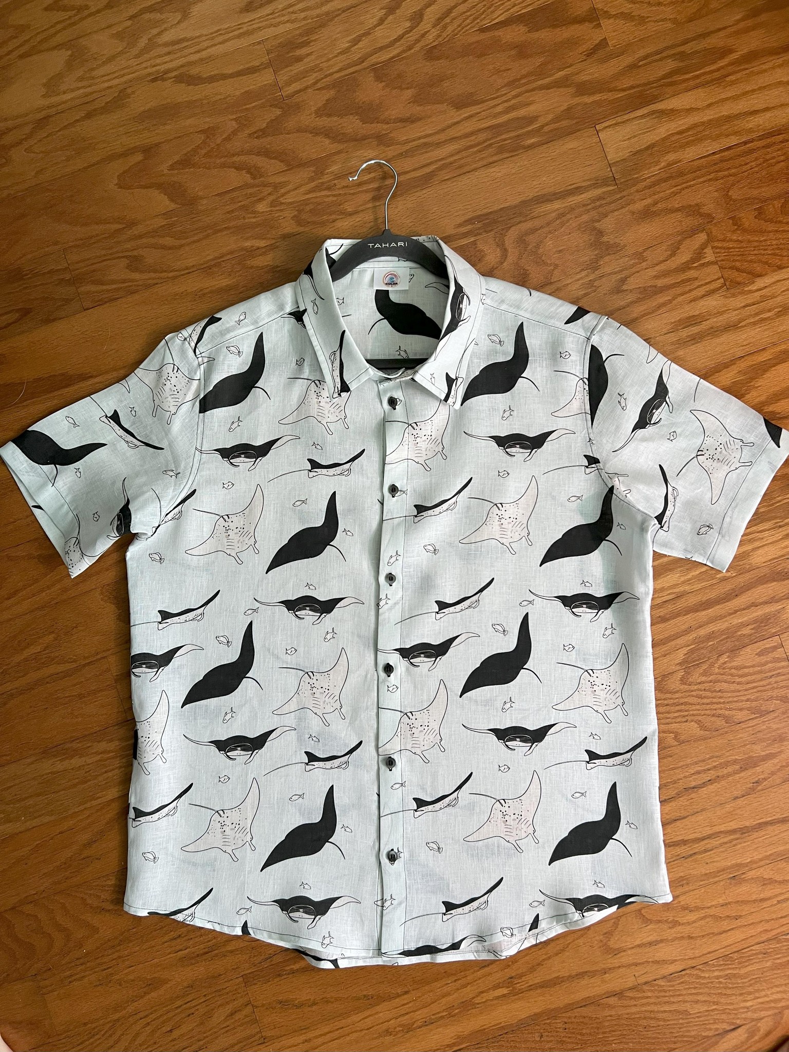 Mantas and Divers - image 12 - student project