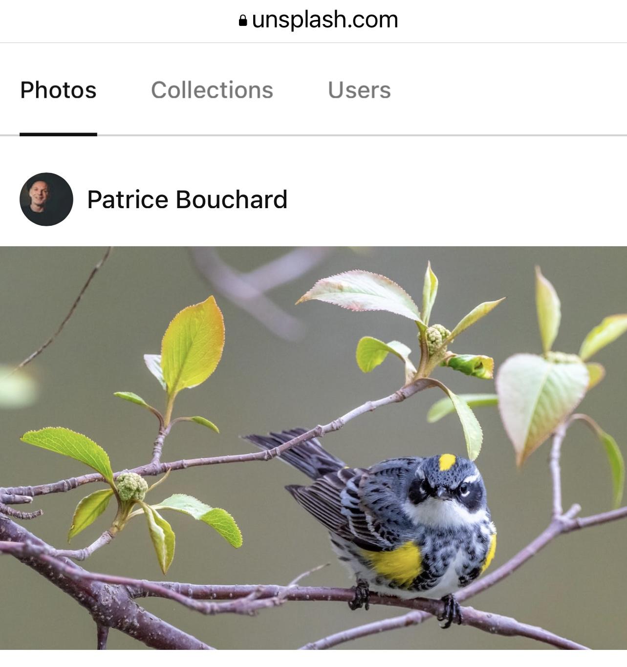 Reference Photo - image 1 - student project
