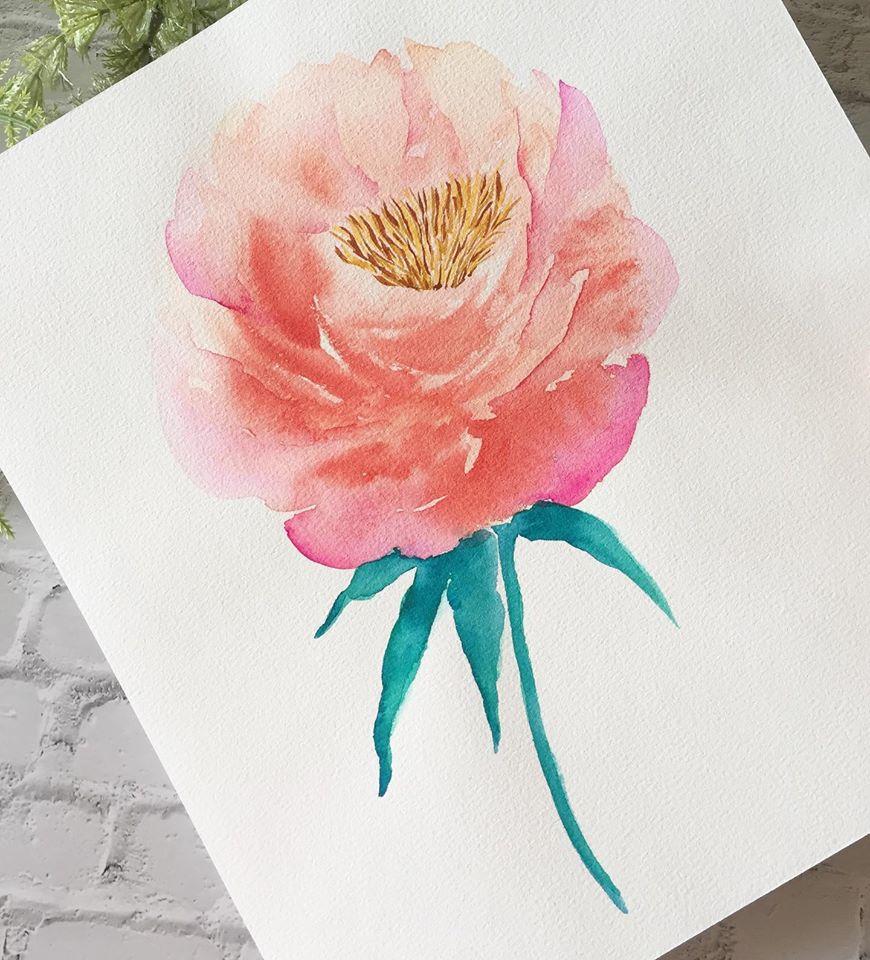 My peonies - image 2 - student project