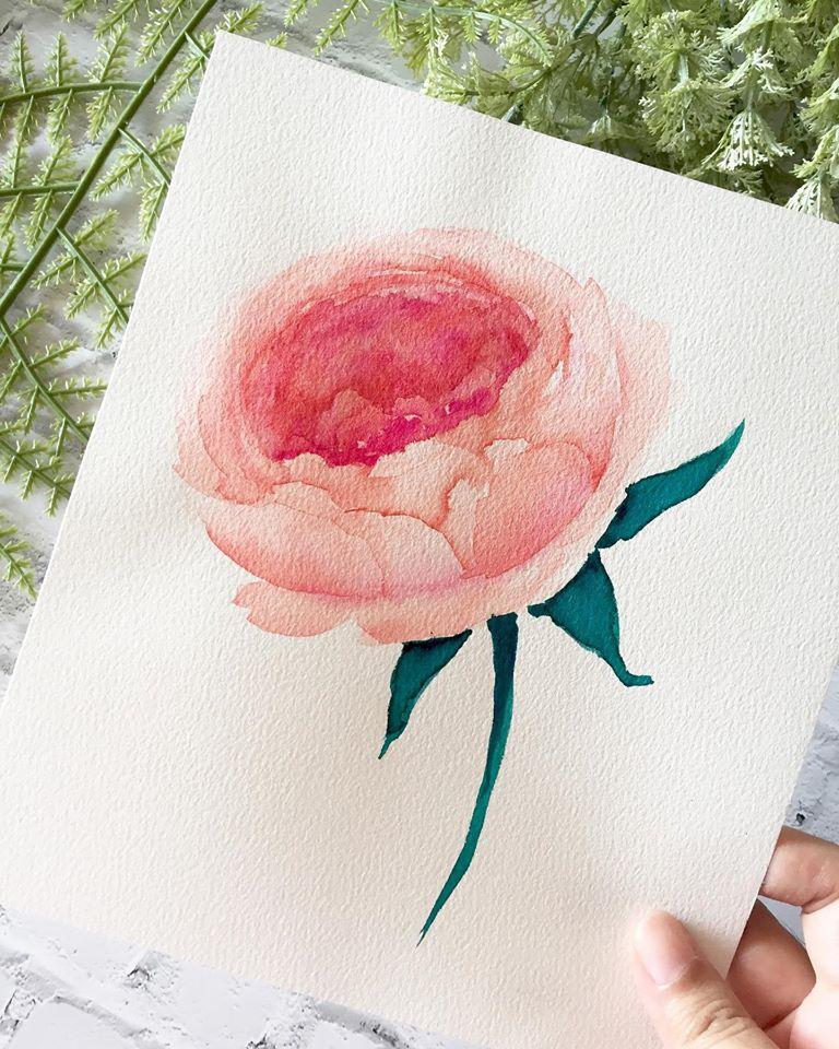 My peonies - image 3 - student project