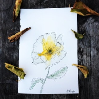 Daisy - image 2 - student project