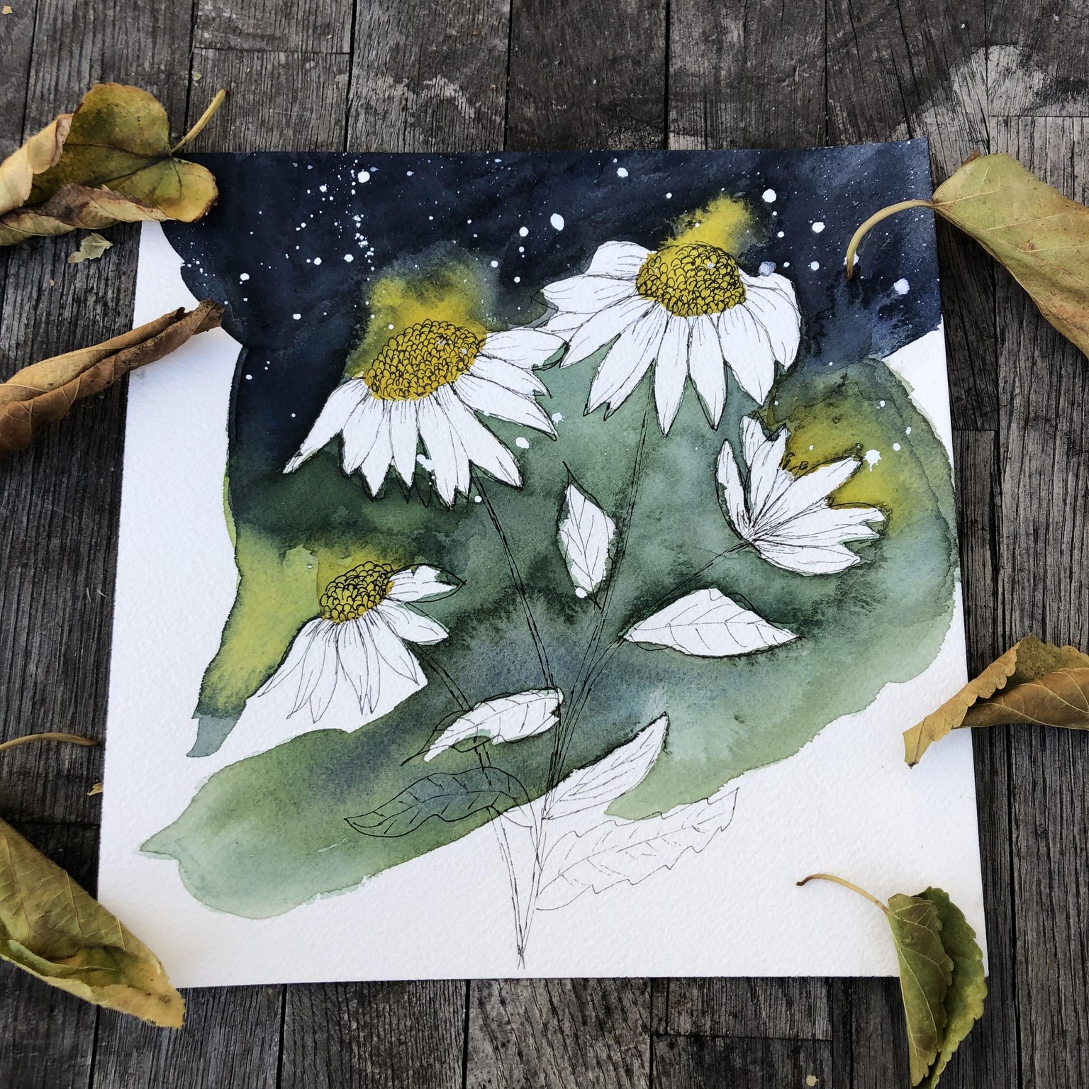 Daisy - image 1 - student project