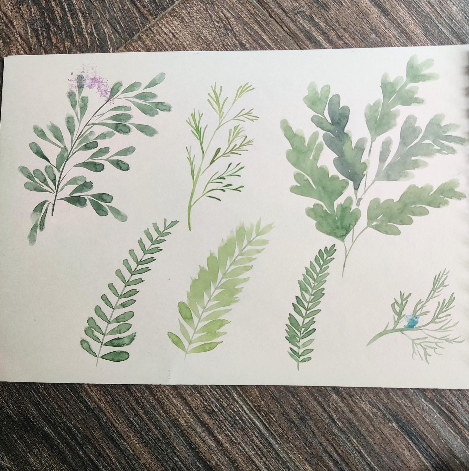 Florals - image 1 - student project