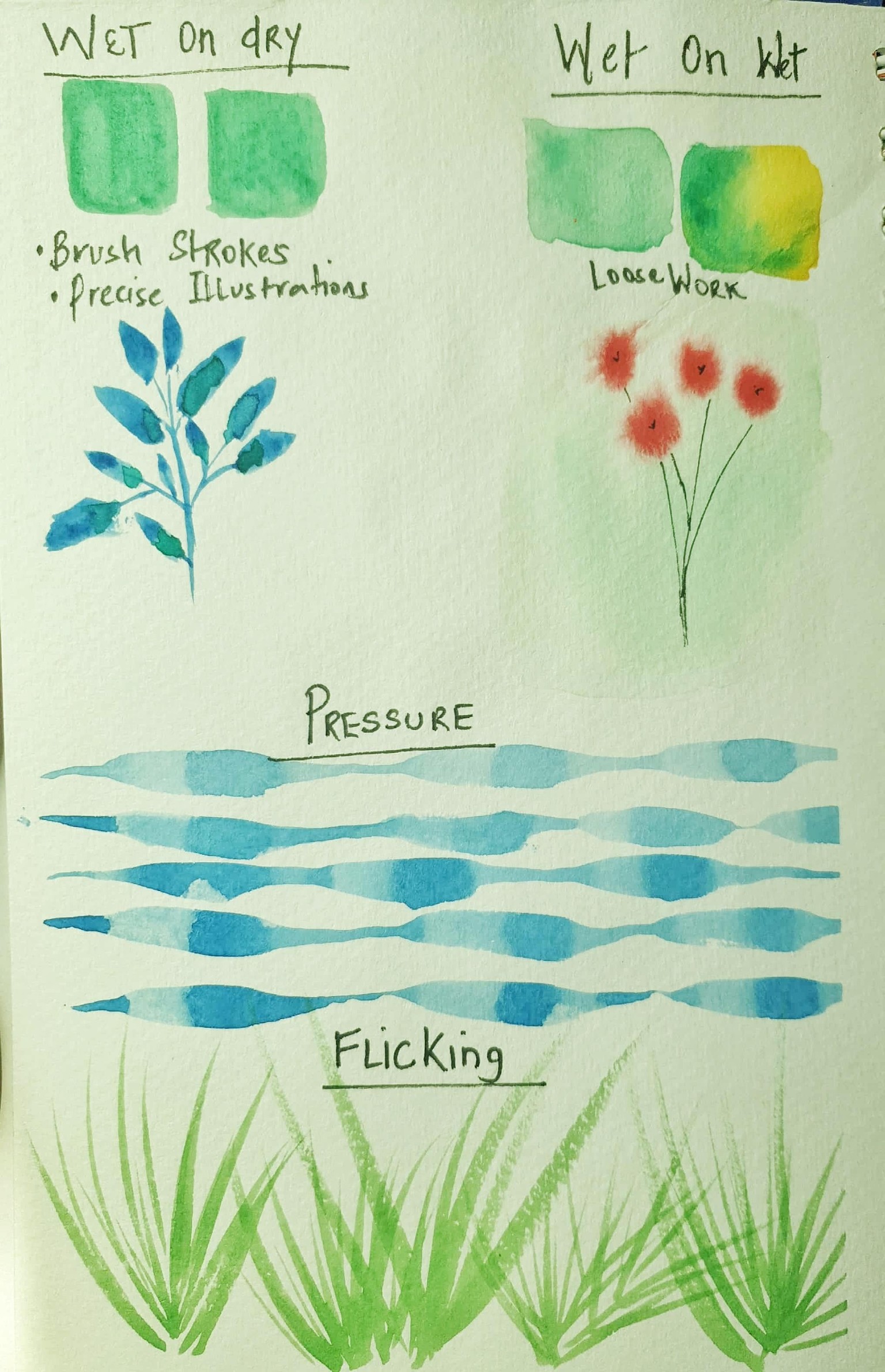 Watercolour Basics - image 2 - student project