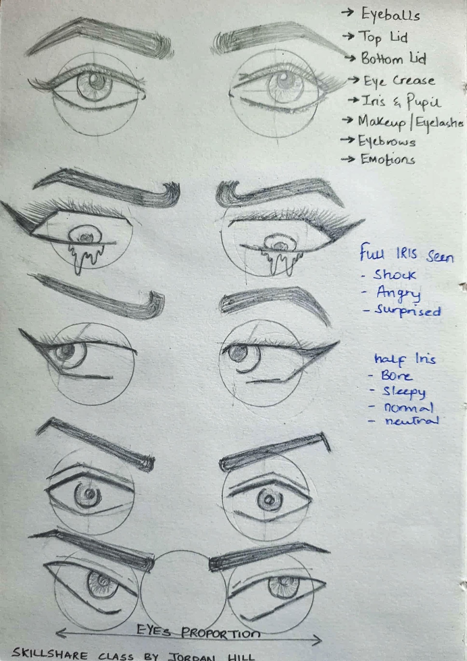Eyes - Jordan Hill - image 1 - student project