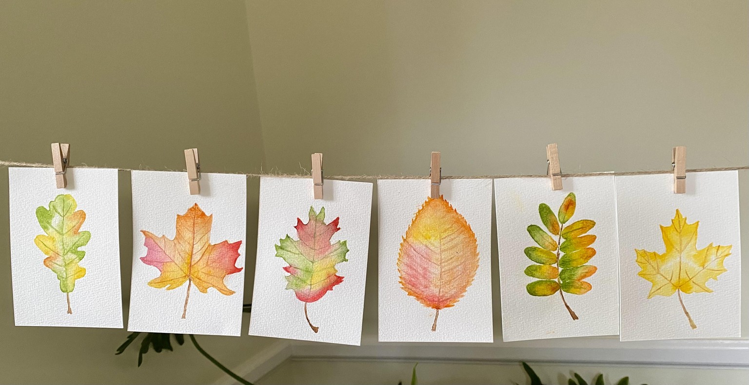 Autumn leaves - image 1 - student project