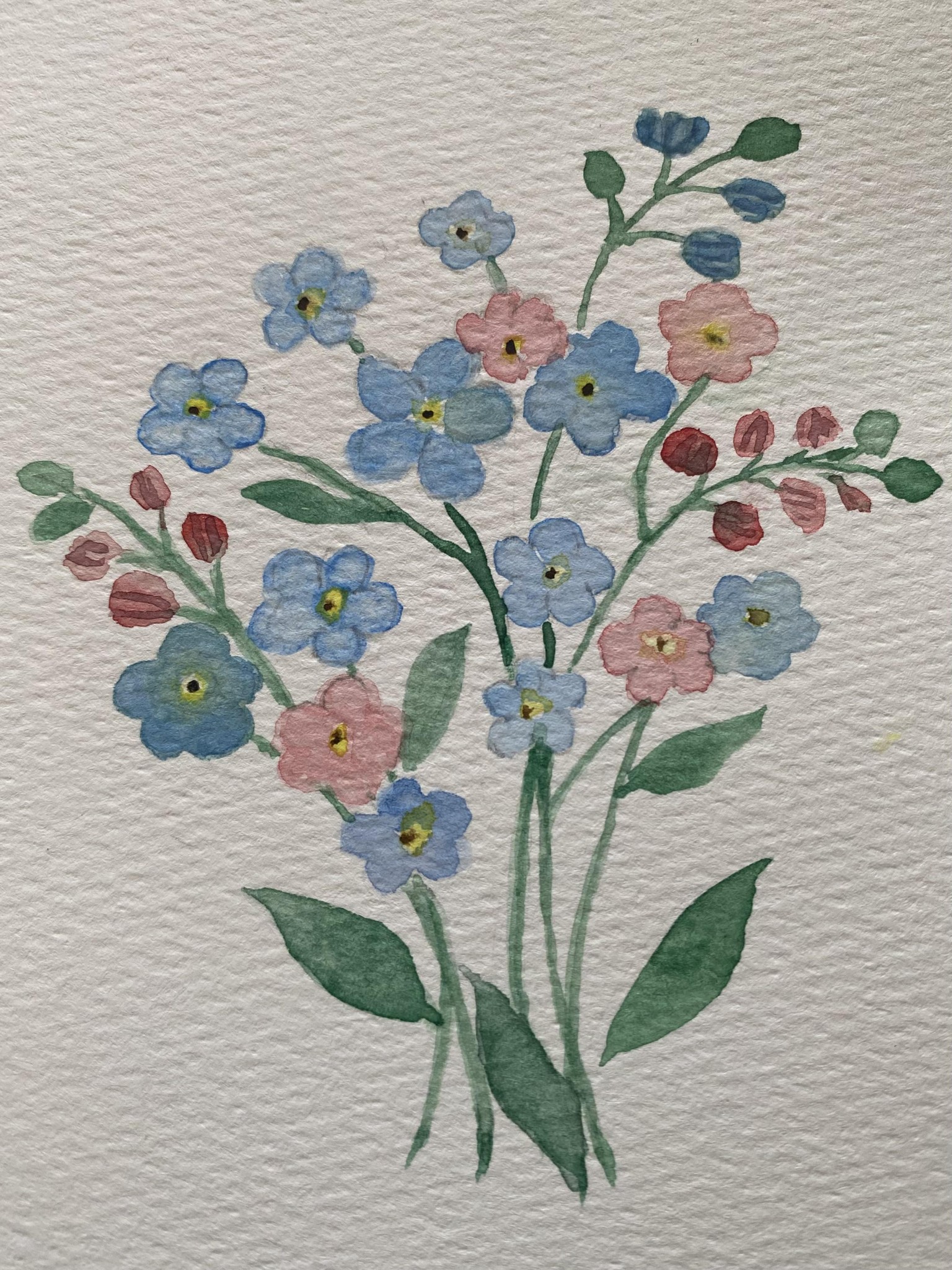 Watercolor forget-me-nots - image 1 - student project