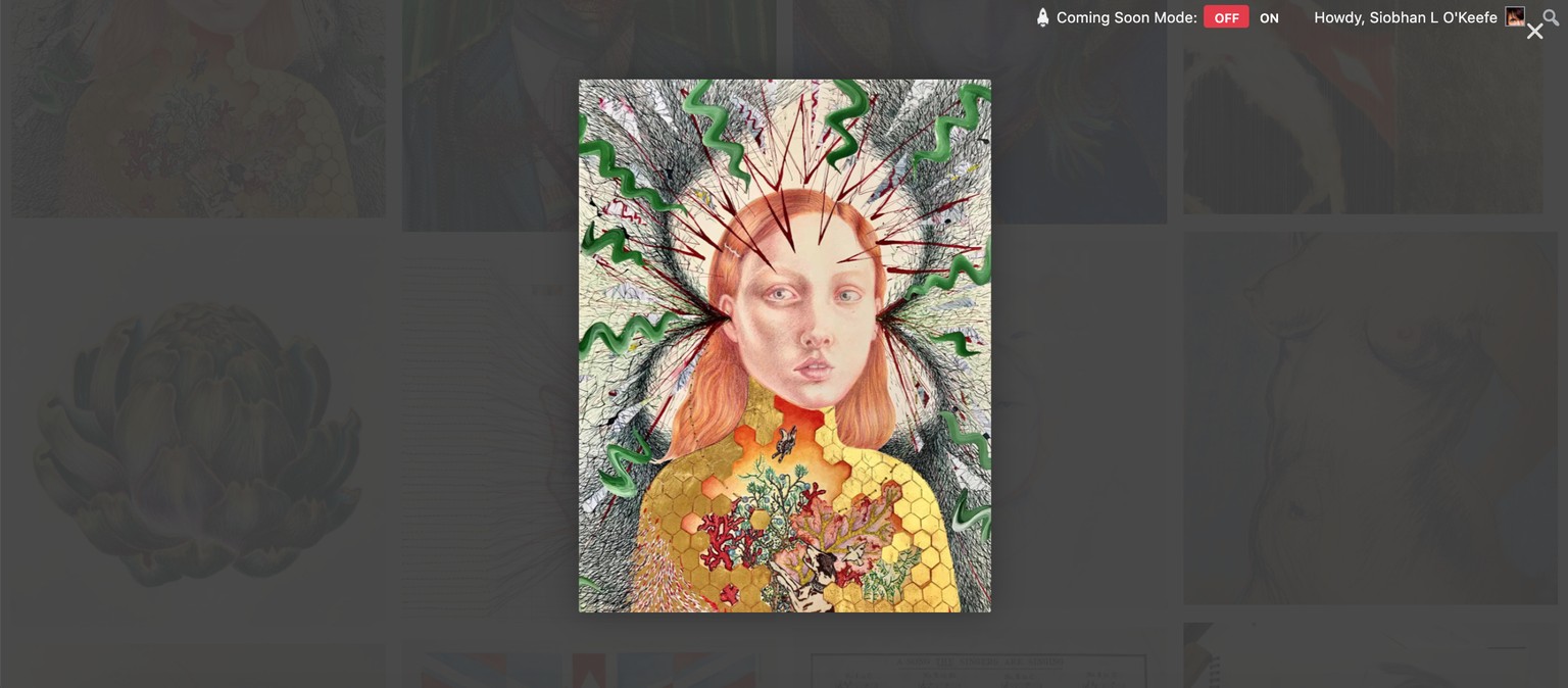 My portfolio site - image 3 - student project