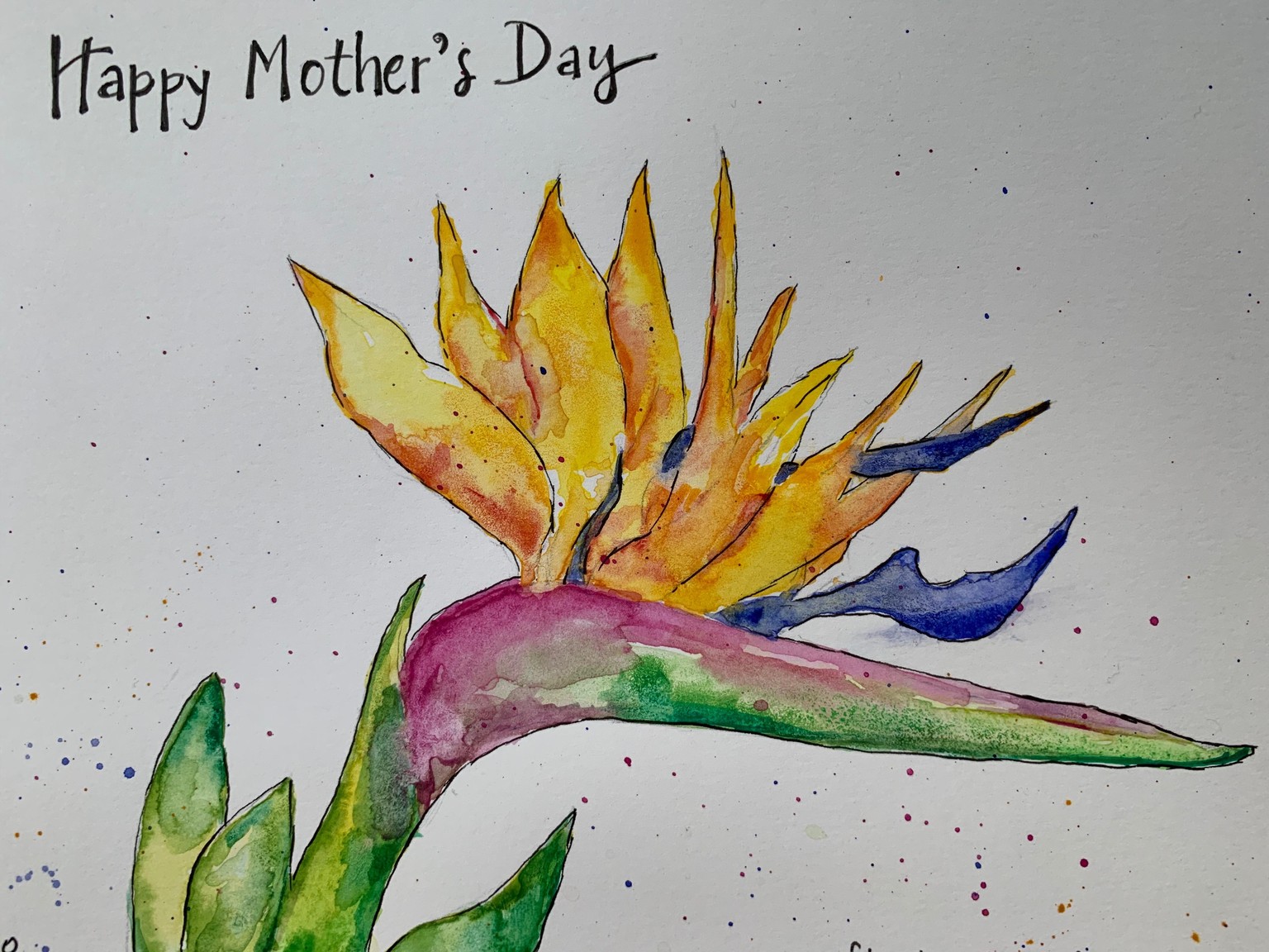 Watercolor Bird of Paradise - image 1 - student project