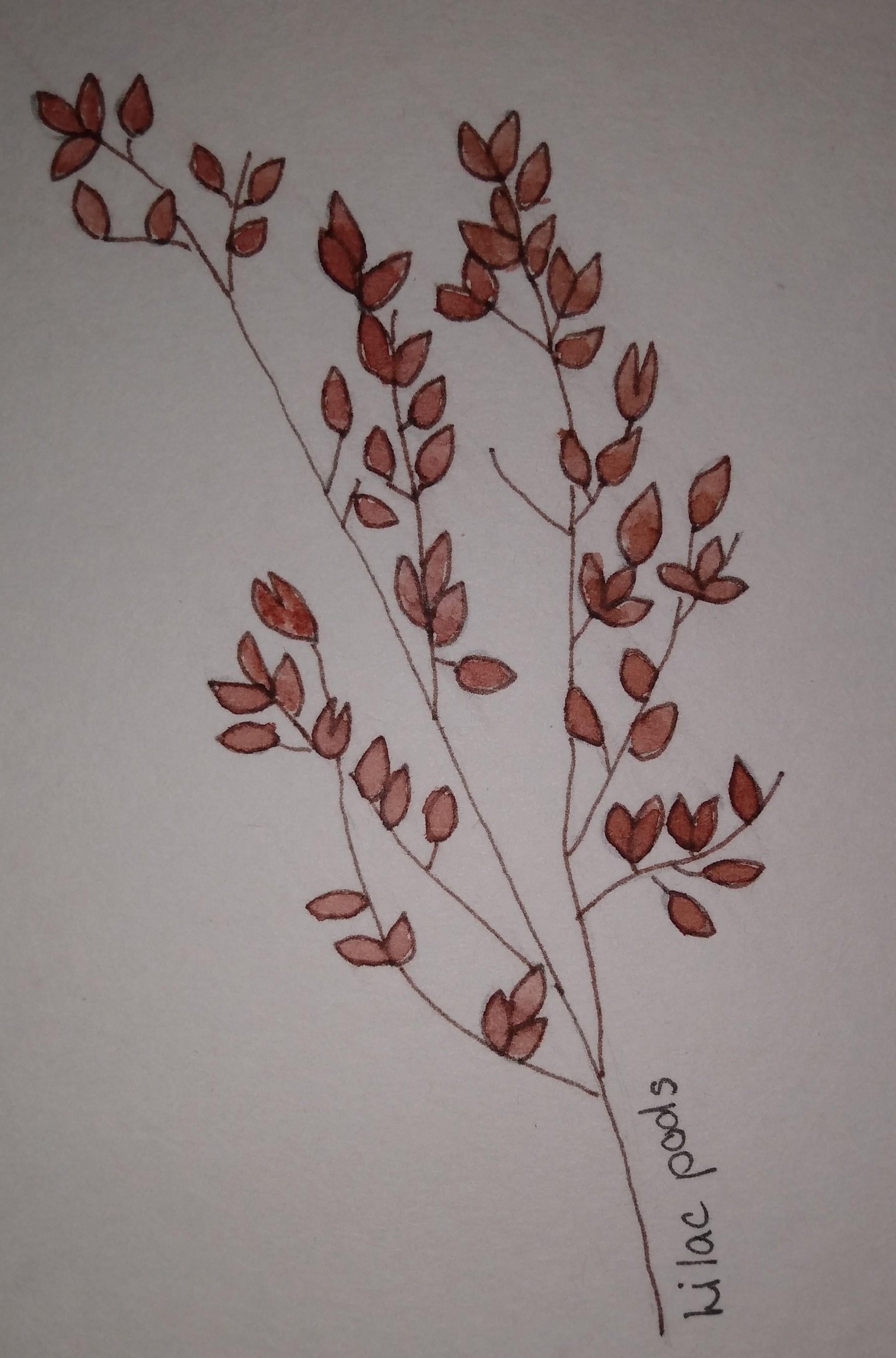 Winter Art - image 4 - student project