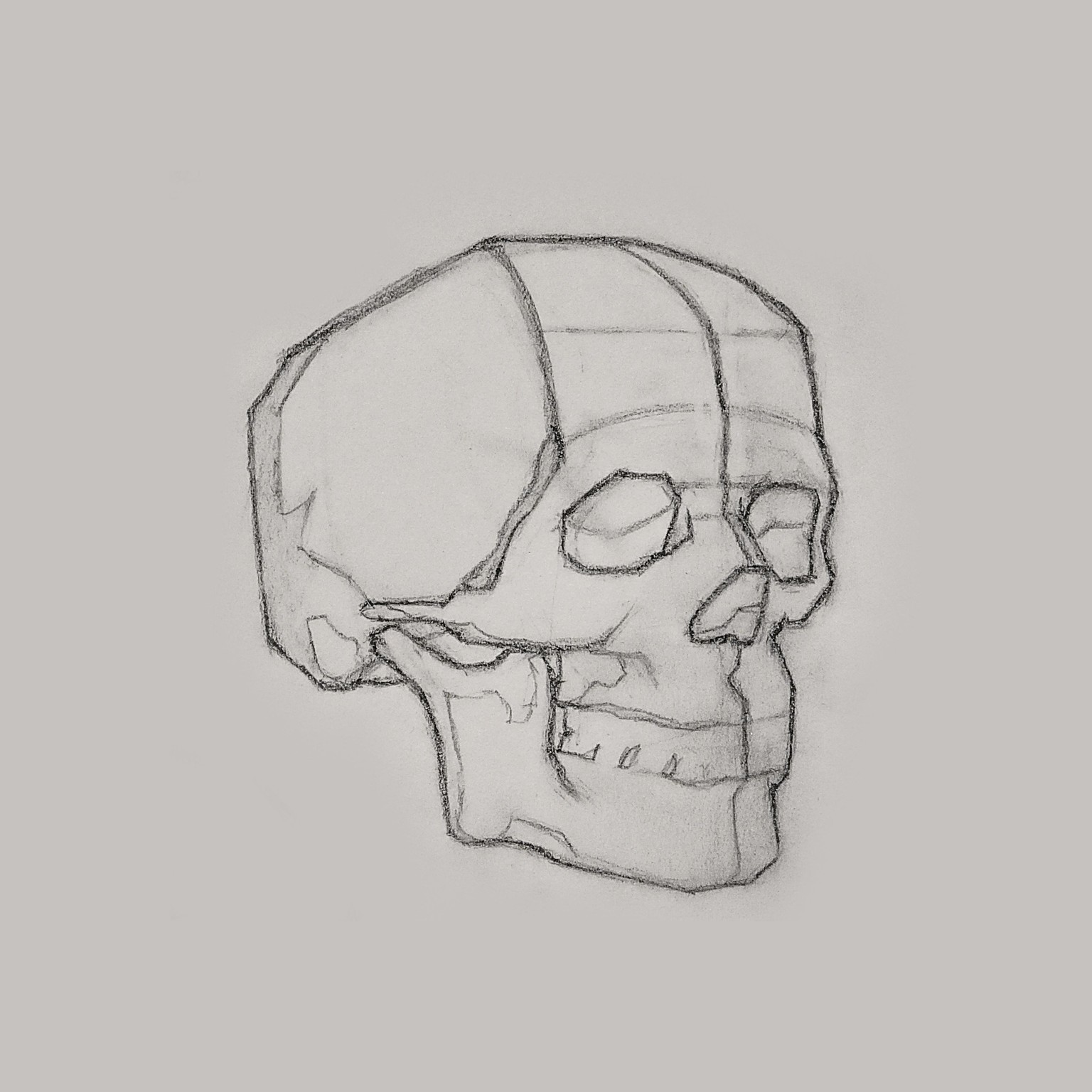 Asaro Head pt 3 - image 9 - student project
