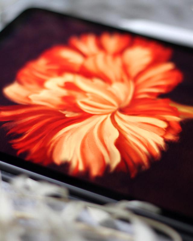 Red Flowers - image 7 - student project