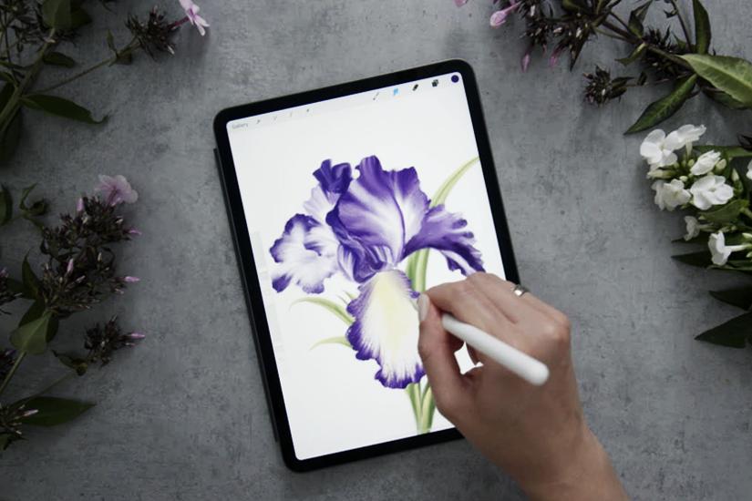 Inky Botanicals in Watercolor and Procreate - image 9 - student project