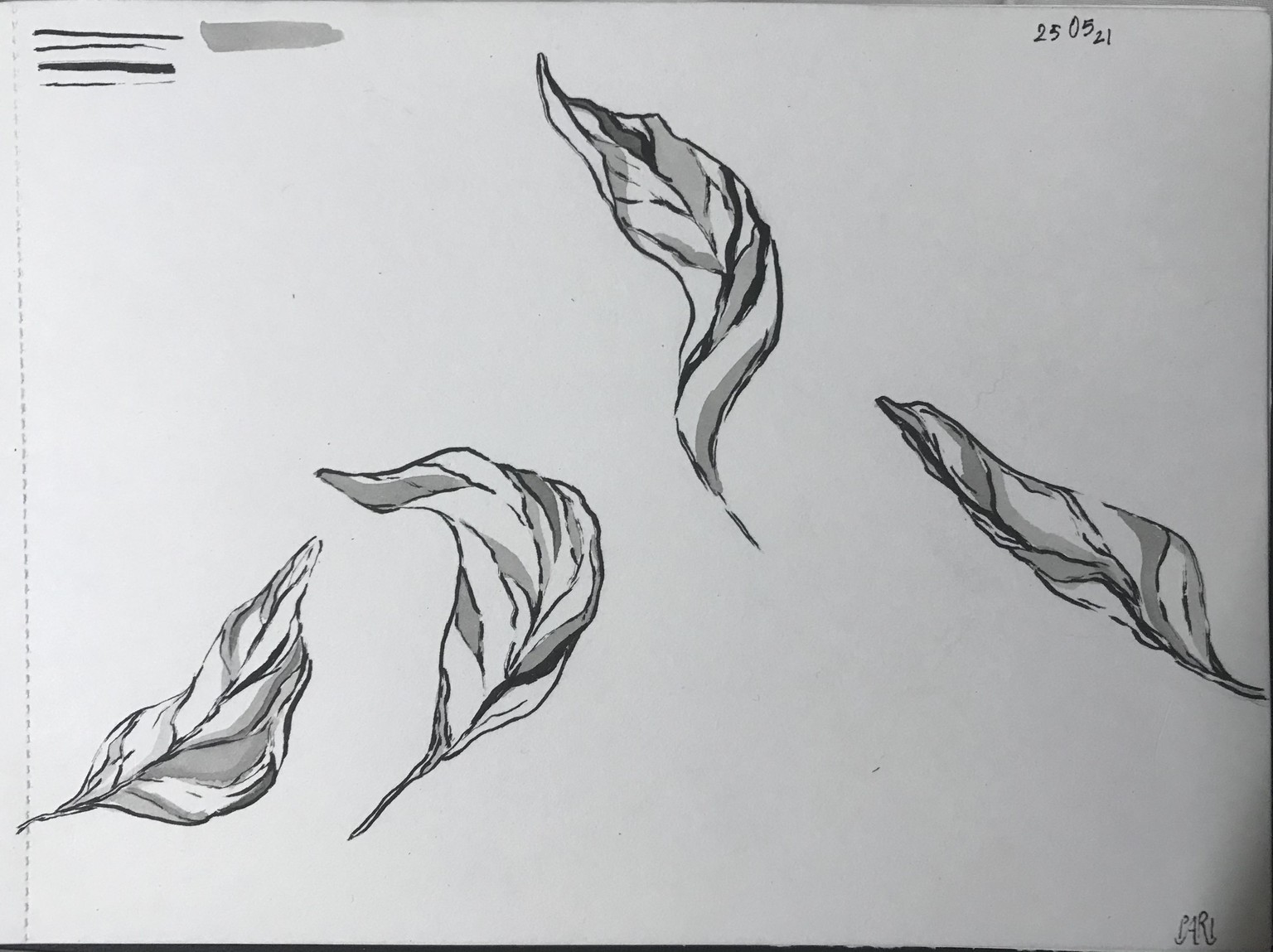 my work - image 6 - student project
