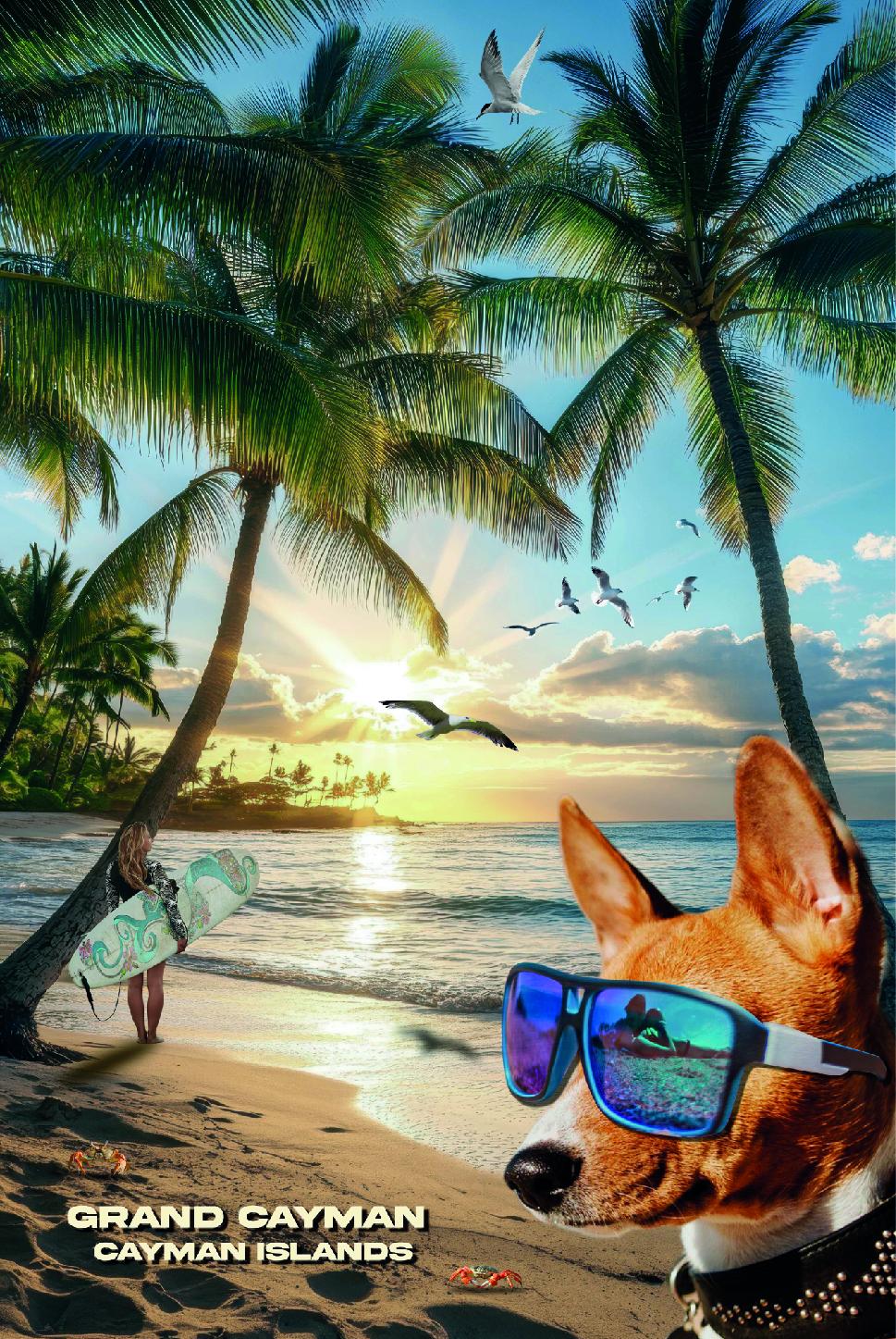Learn Adobe Photoshop Like a Pro: Advanced Techniques - image 10 - student project