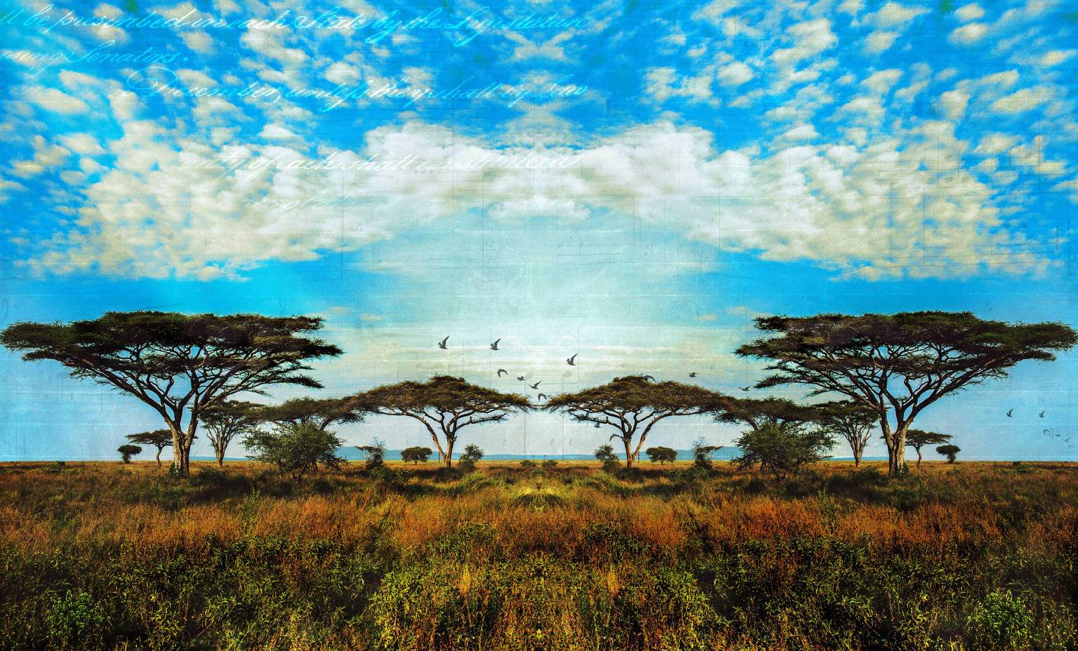 Final Project: African Savanna-Photo Texture Collage - image 6 - student project